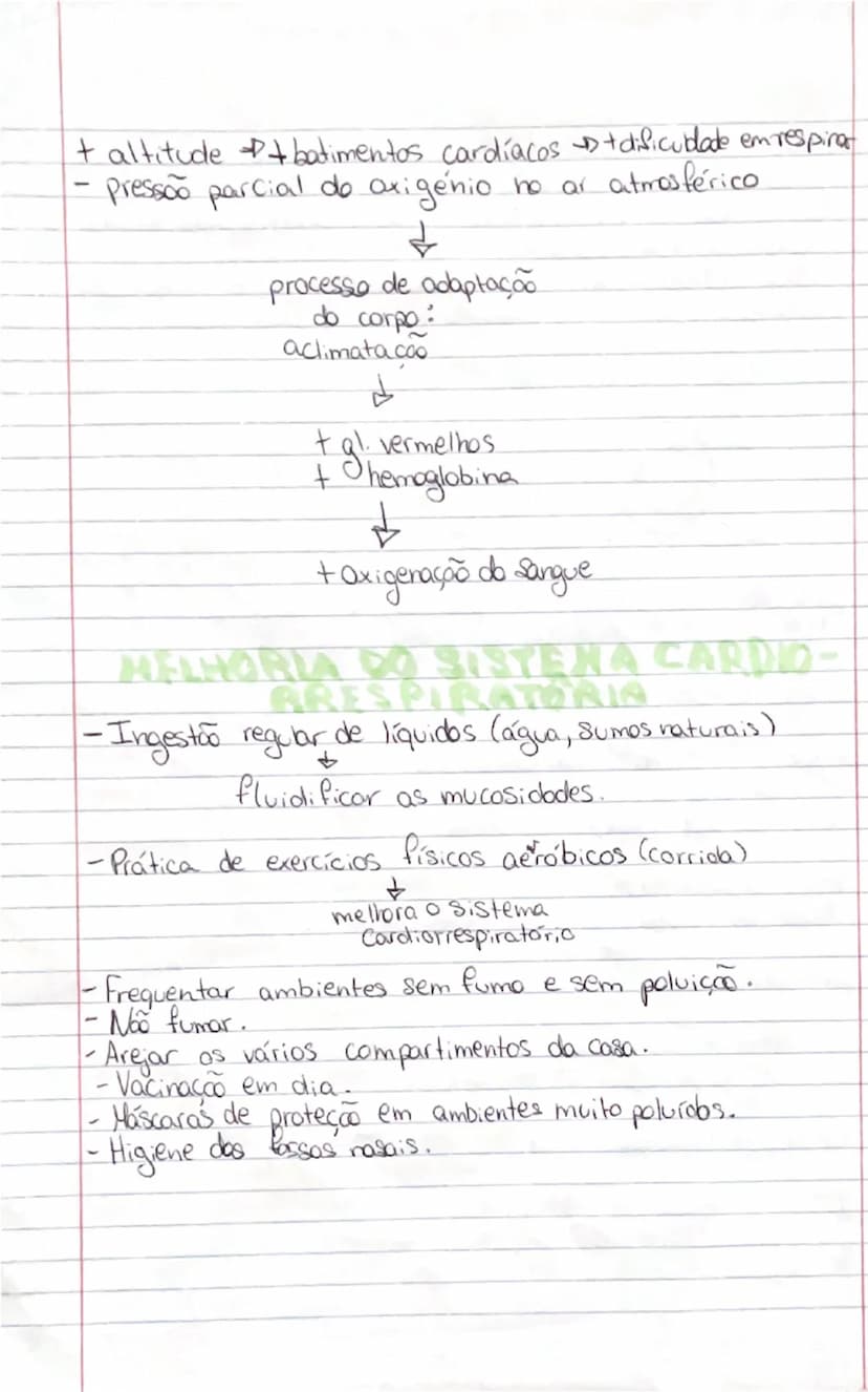 # Ciências Naturais

# SISTEMA
RESPIRATÓRIO

- **Orgãos:**
- **Pulmões:** onde se realizam as trocas gasosas entre o exterior
- **Vias respi
