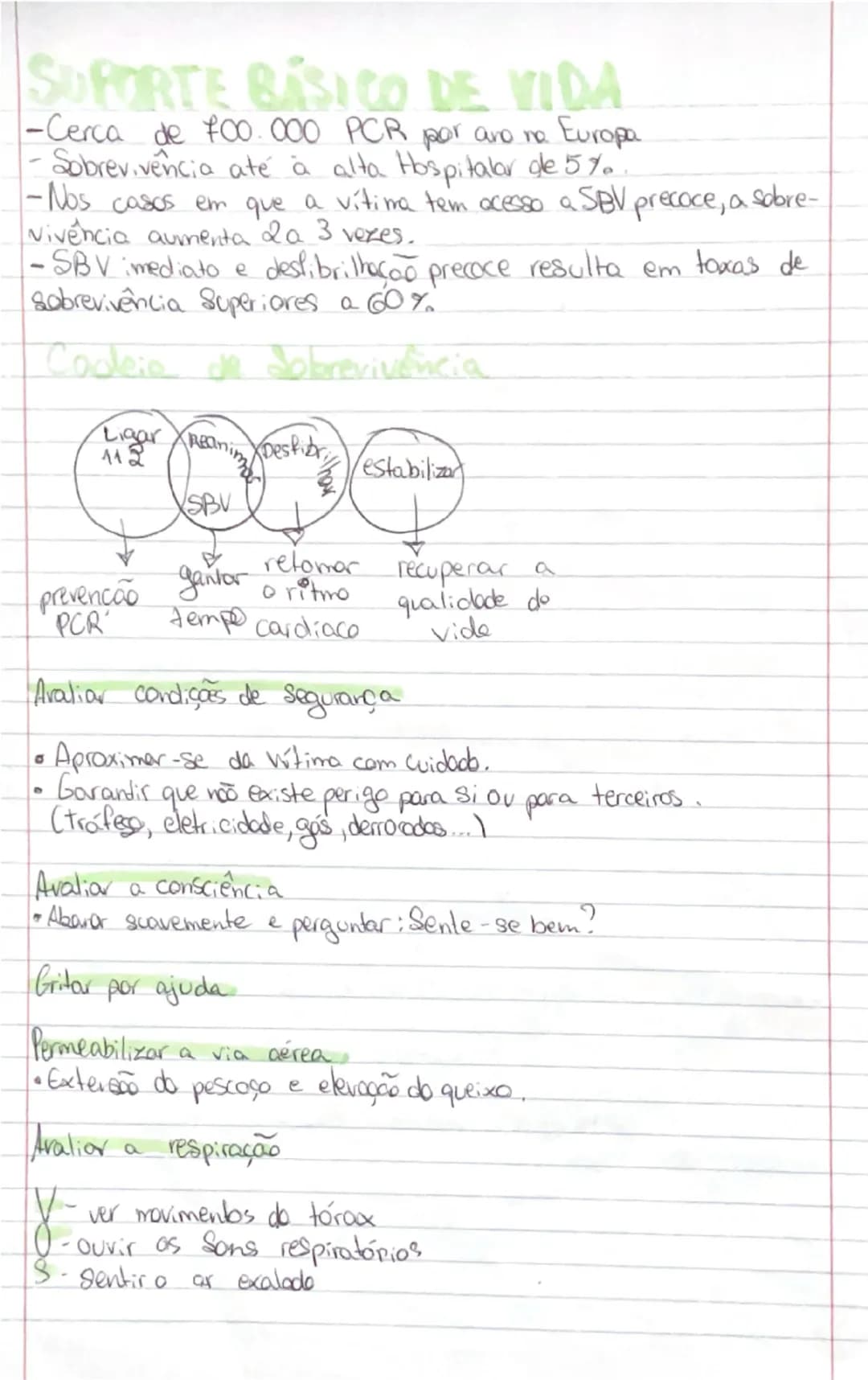 # Ciências Naturais

# SISTEMA
RESPIRATÓRIO

- **Orgãos:**
- **Pulmões:** onde se realizam as trocas gasosas entre o exterior
- **Vias respi