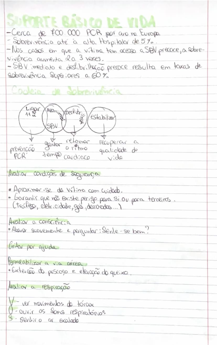 # Ciências Naturais

# SISTEMA
RESPIRATÓRIO

- **Orgãos:**
- **Pulmões:** onde se realizam as trocas gasosas entre o exterior
- **Vias respi