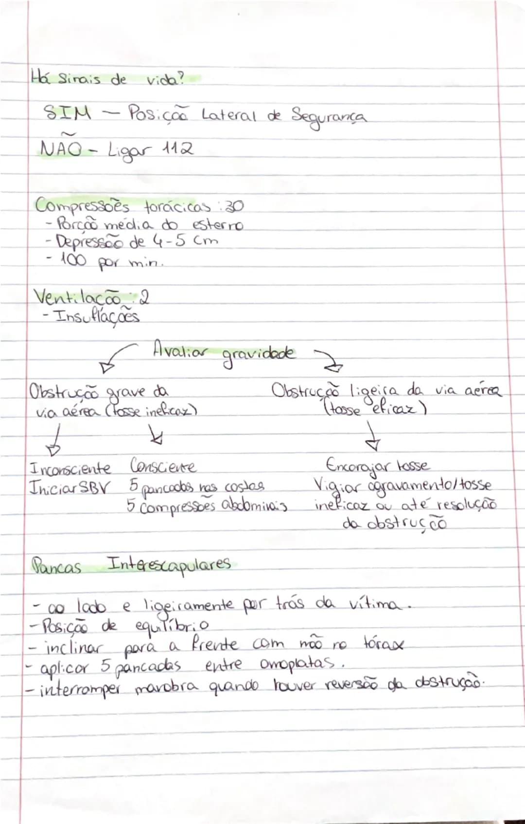 # Ciências Naturais

# SISTEMA
RESPIRATÓRIO

- **Orgãos:**
- **Pulmões:** onde se realizam as trocas gasosas entre o exterior
- **Vias respi