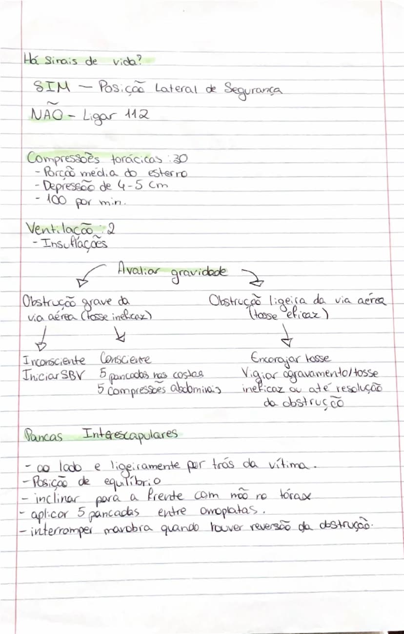 # Ciências Naturais

# SISTEMA
RESPIRATÓRIO

- **Orgãos:**
- **Pulmões:** onde se realizam as trocas gasosas entre o exterior
- **Vias respi
