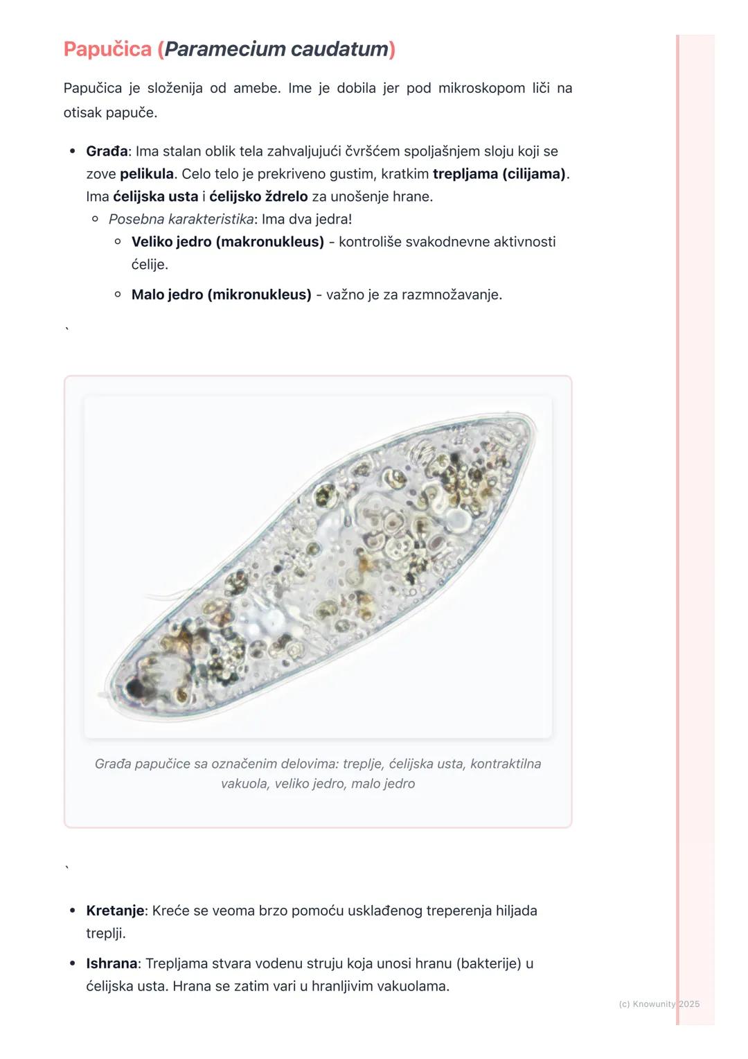 # Protisti

Šta su protisti?

Protisti su grupa organizama koji pripadaju carstvu protista. Oni su eukarioti,
što znači da njihove ćelije im