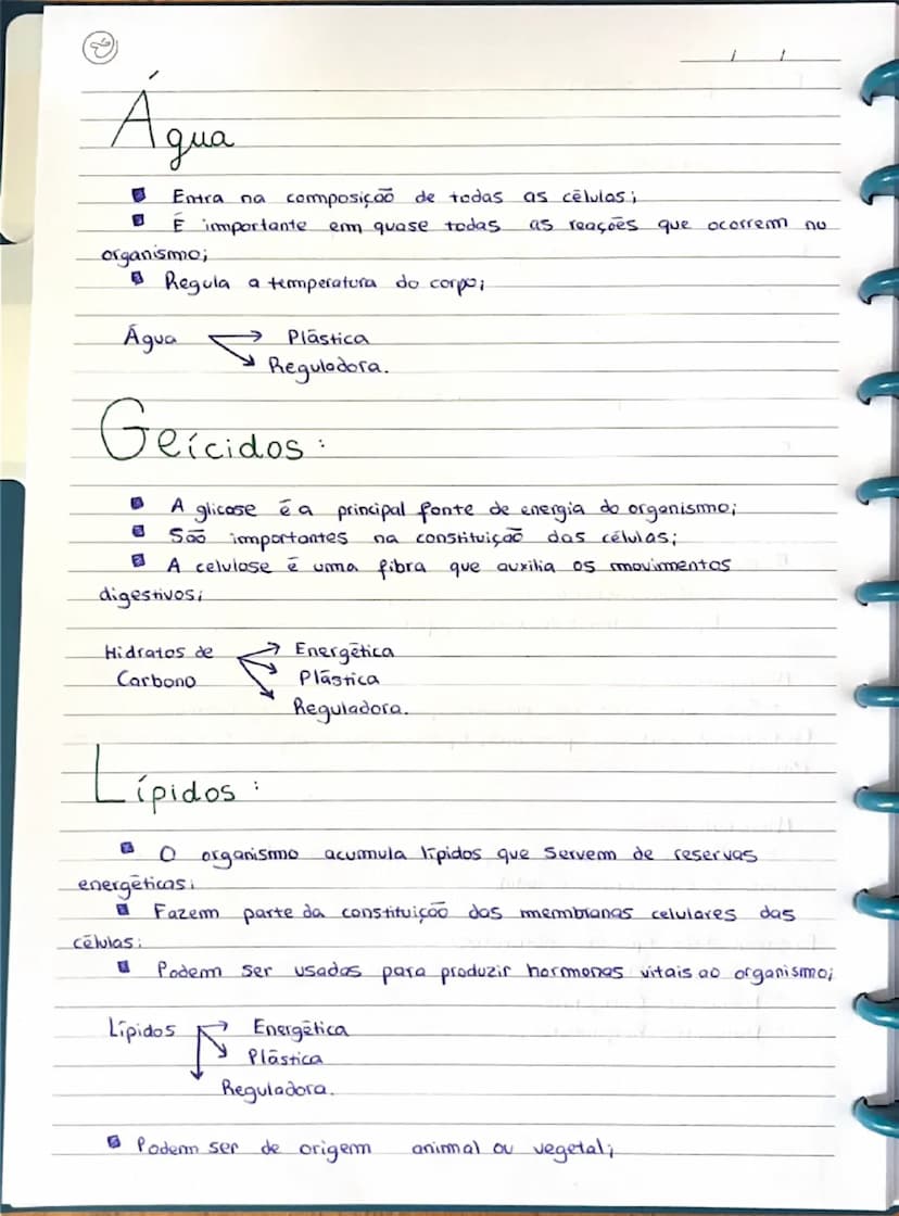 --- OCR Start ---
1
Estudo para o teste:
Alimentos:
Os alimentos são produtos naturais ou processados, sólidos ou
liquidos, que ingerimos pa
