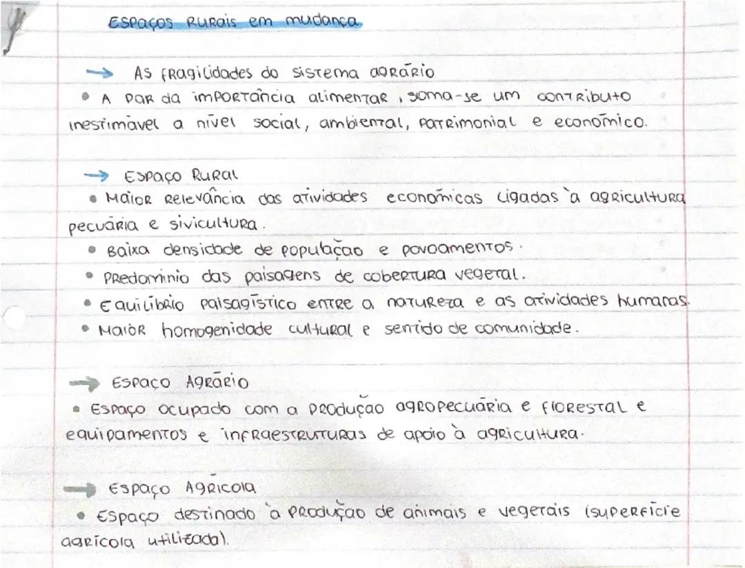 Estudo da Geografia no 11º Ano: Agricultura e Temas Relevantes