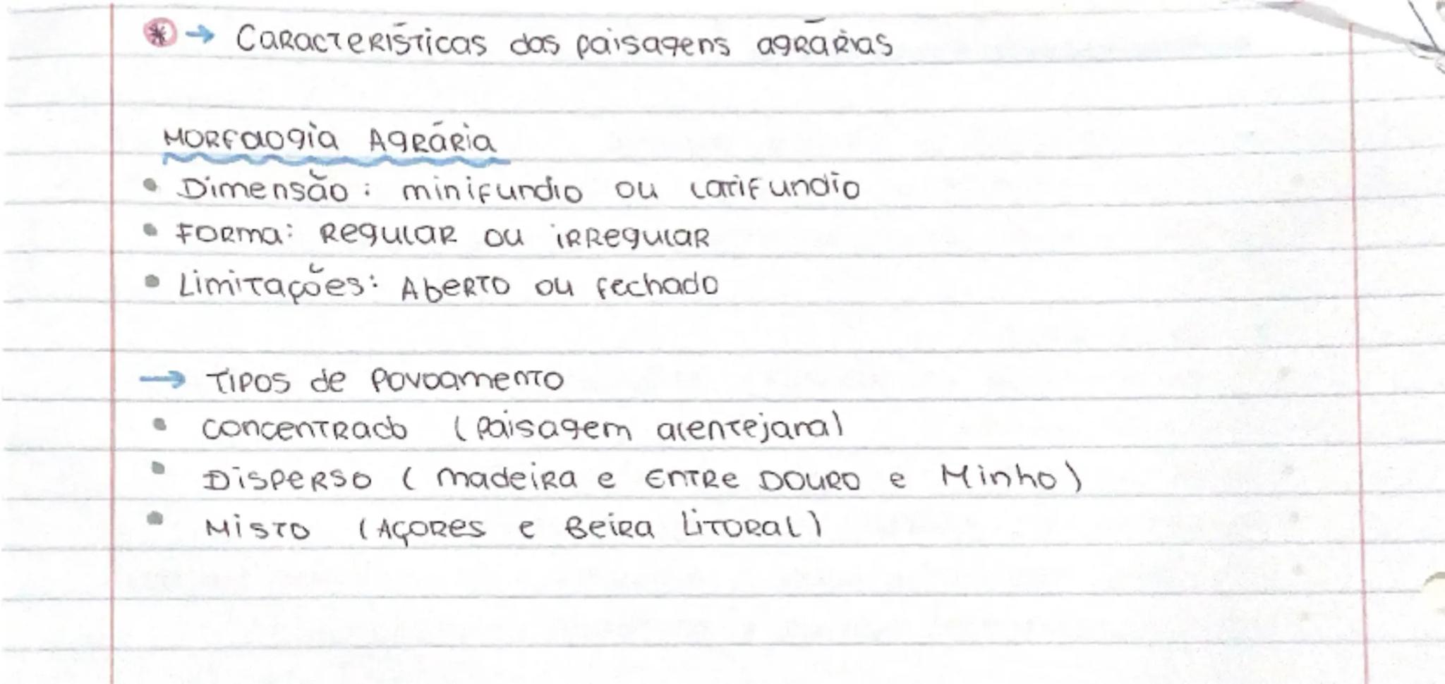 # Espaços Rurais em mudança

As fragilidades do sistema agrário

• A par da importância alimentar, soma-se um contributo
inestimavel a nivel