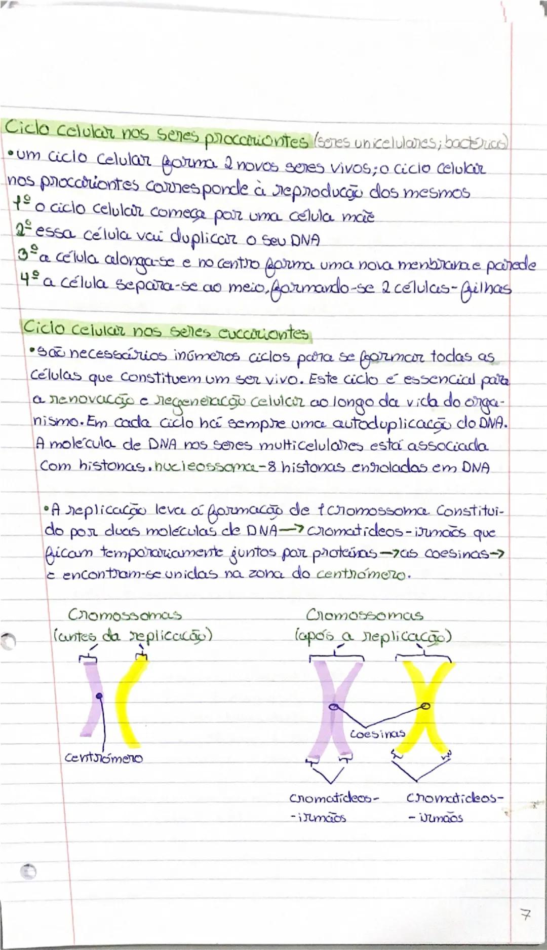 Ácidos Nucleicos/formados por nuckotidos).

•DIVA-ácido desoxiribonucleico
•BNA-ácido ribonucleico


P
base nitrogenada
4 Peristosd c
• as f