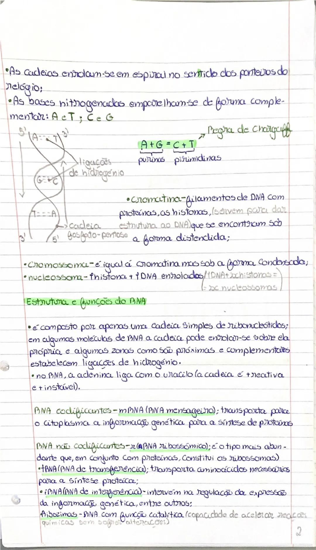 Ácidos Nucleicos/formados por nuckotidos).

•DIVA-ácido desoxiribonucleico
•BNA-ácido ribonucleico


P
base nitrogenada
4 Peristosd c
• as f