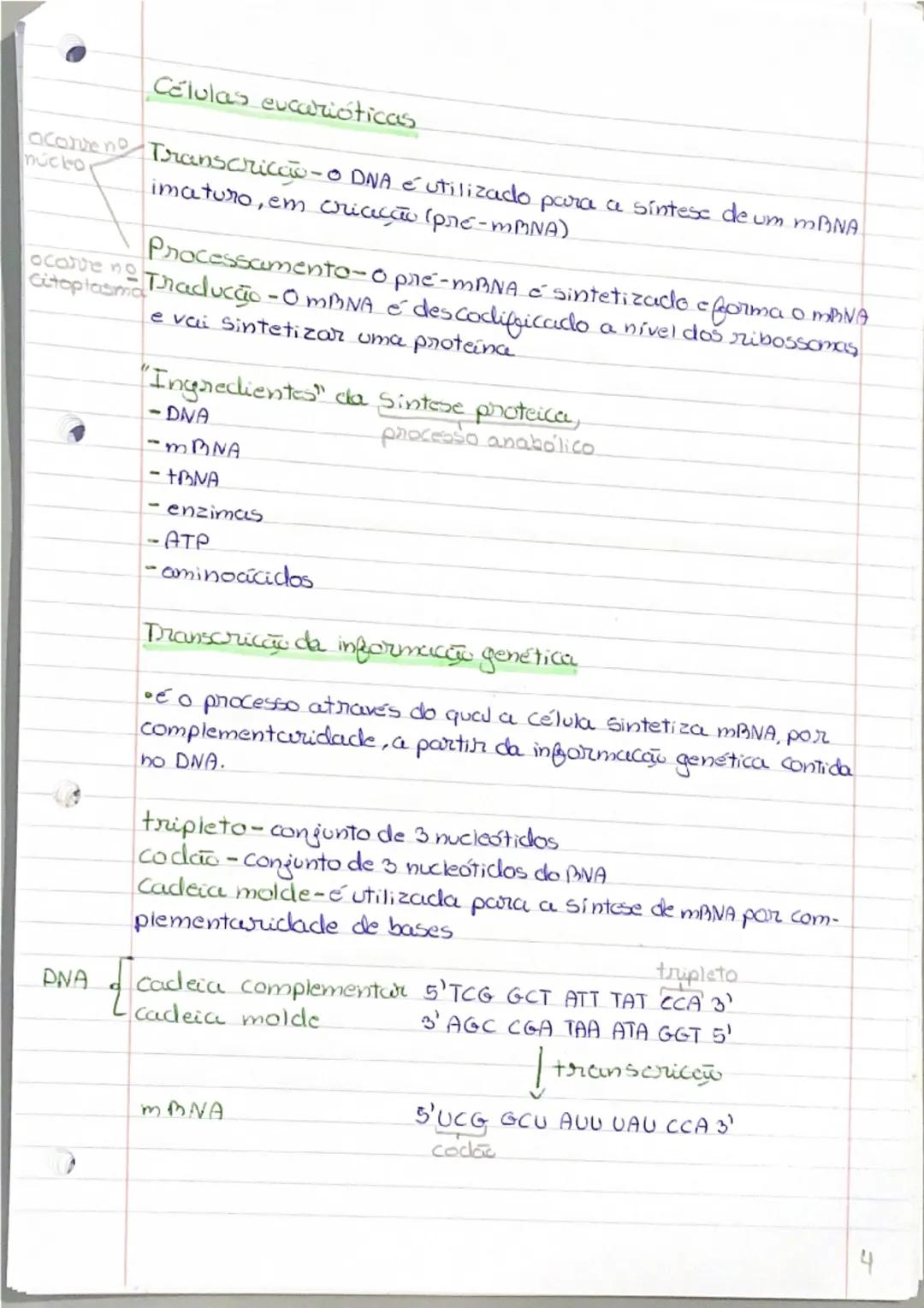 Ácidos Nucleicos/formados por nuckotidos).

•DIVA-ácido desoxiribonucleico
•BNA-ácido ribonucleico


P
base nitrogenada
4 Peristosd c
• as f