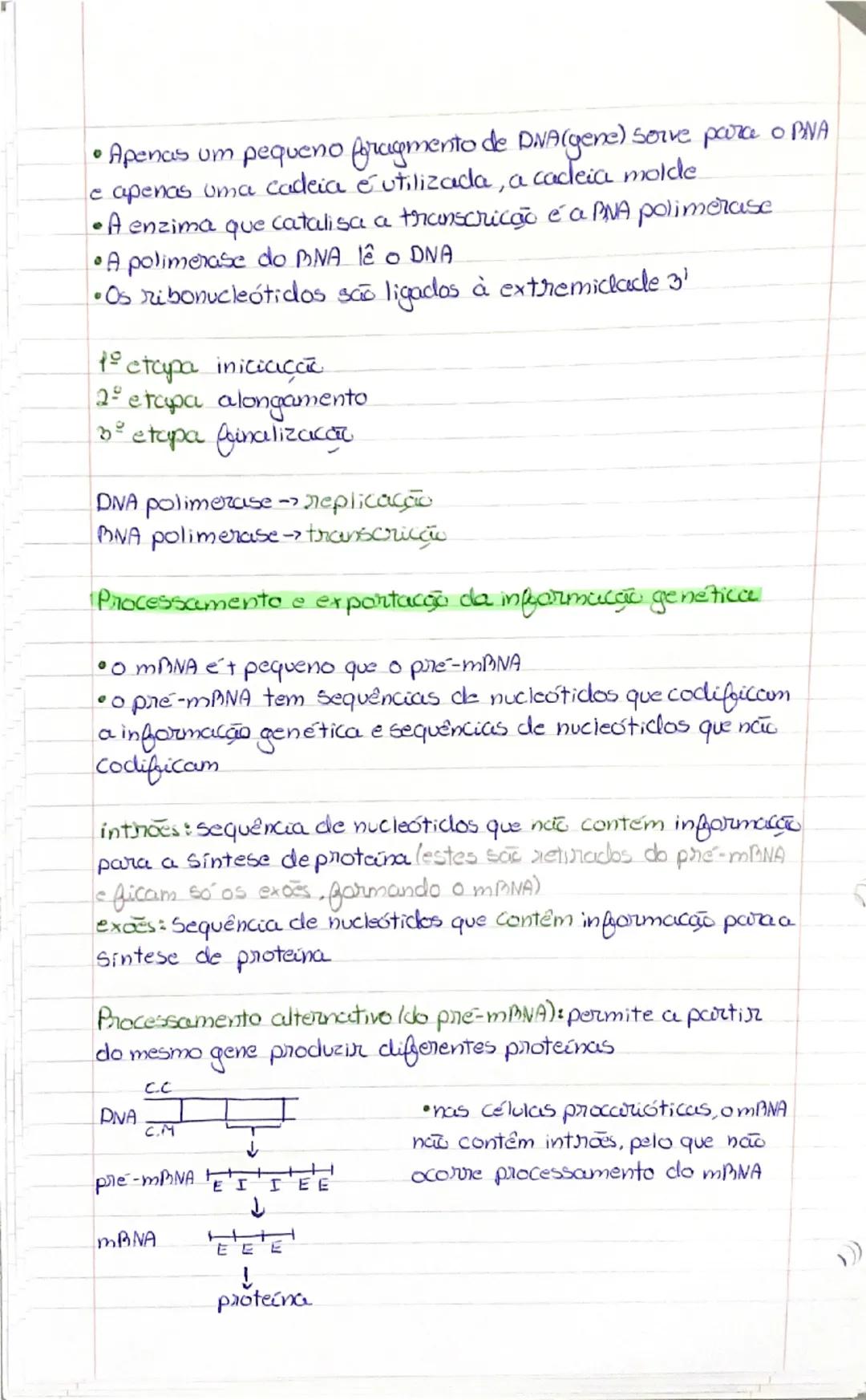 Ácidos Nucleicos/formados por nuckotidos).

•DIVA-ácido desoxiribonucleico
•BNA-ácido ribonucleico


P
base nitrogenada
4 Peristosd c
• as f