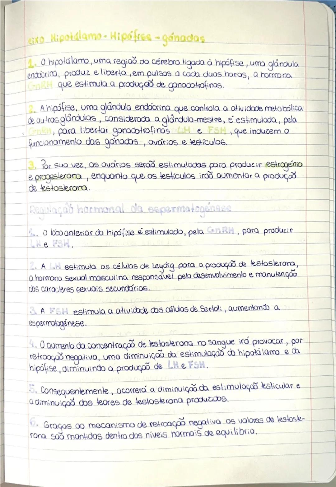 Sistema reprodutor masculino (morfologia)

Gonadas - órgão onde se produzem as células sexuais (espermatozoides)
e as hormonas sexuais (test