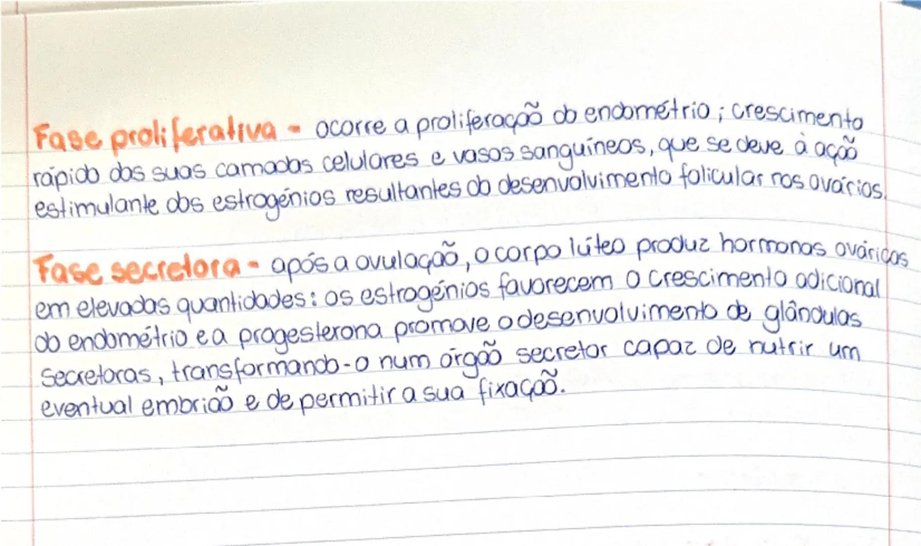 Sistema reprodutor masculino (morfologia)

Gonadas - órgão onde se produzem as células sexuais (espermatozoides)
e as hormonas sexuais (test