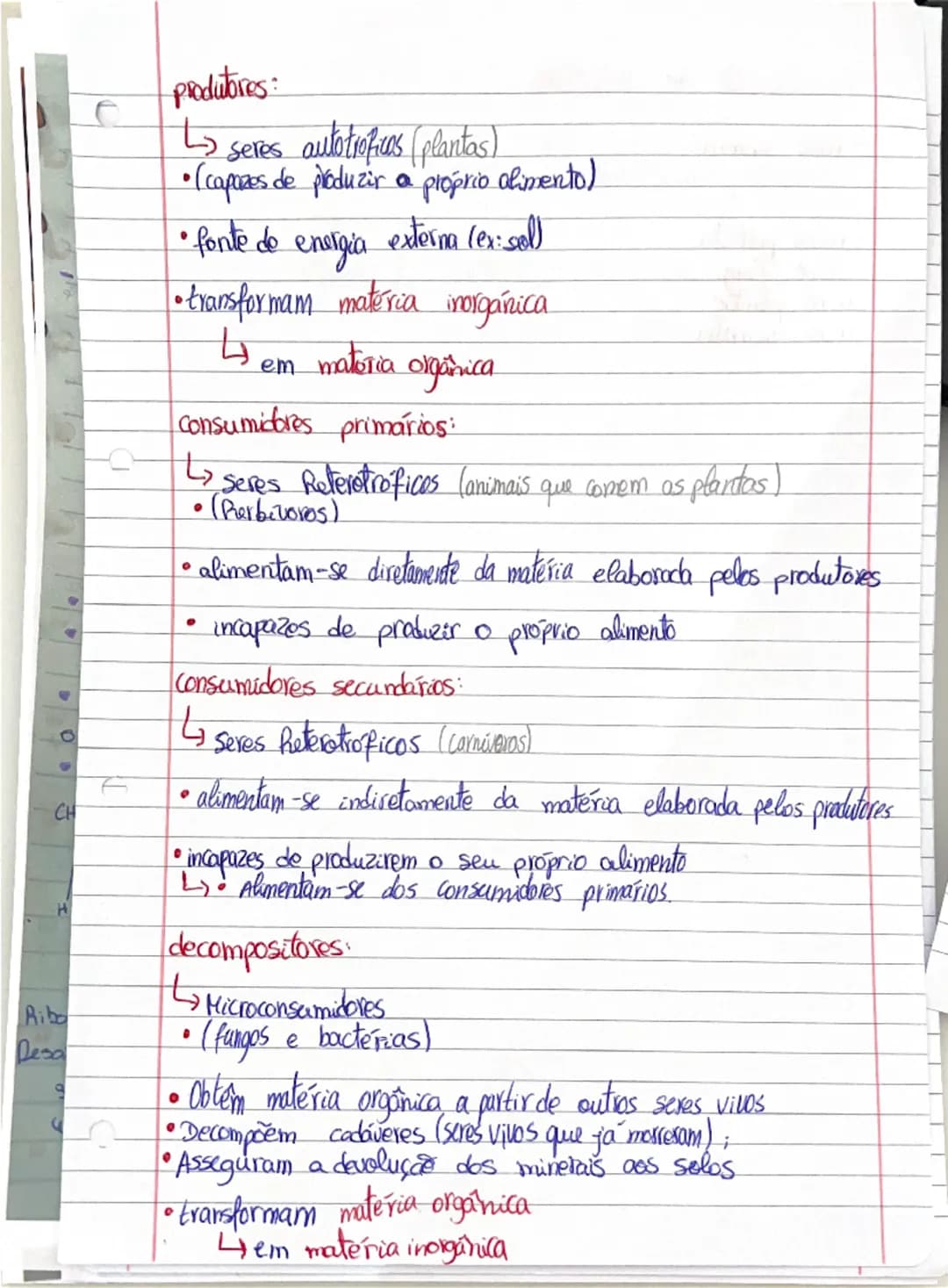 # produtores:

- seres autotróficos (plantas)
- (capazes de produzir o próprio alimento)
- fonte de energia externa (ex:sol)
- transformam m