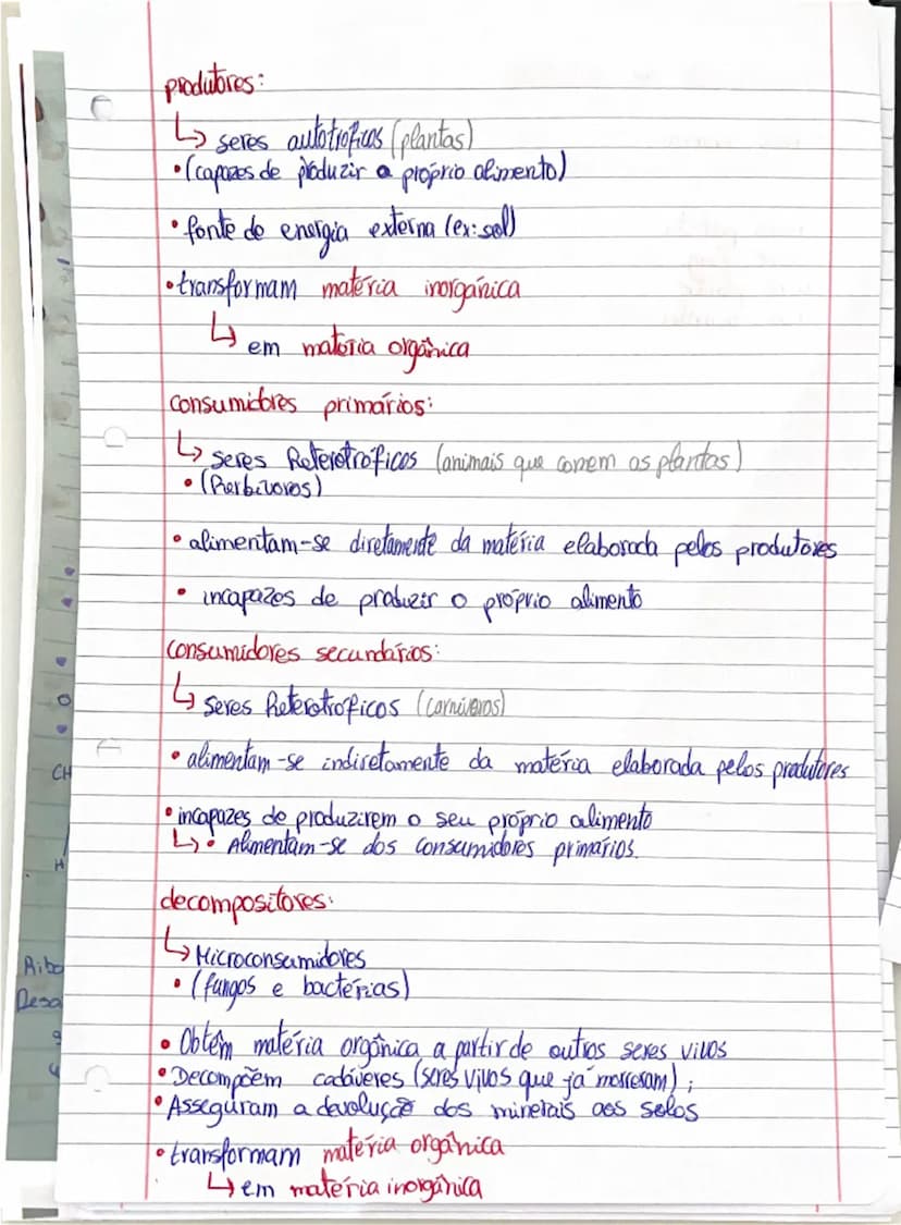# produtores:

- seres autotróficos (plantas)
- (capazes de produzir o próprio alimento)
- fonte de energia externa (ex:sol)
- transformam m