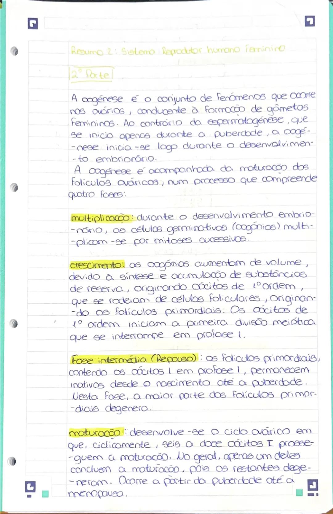 --- OCR Start ---
de relaxar;
edende se desde a abatura da vuha
até co colo do itero.
A parede interior segrega um fluído.
que adua como lub
