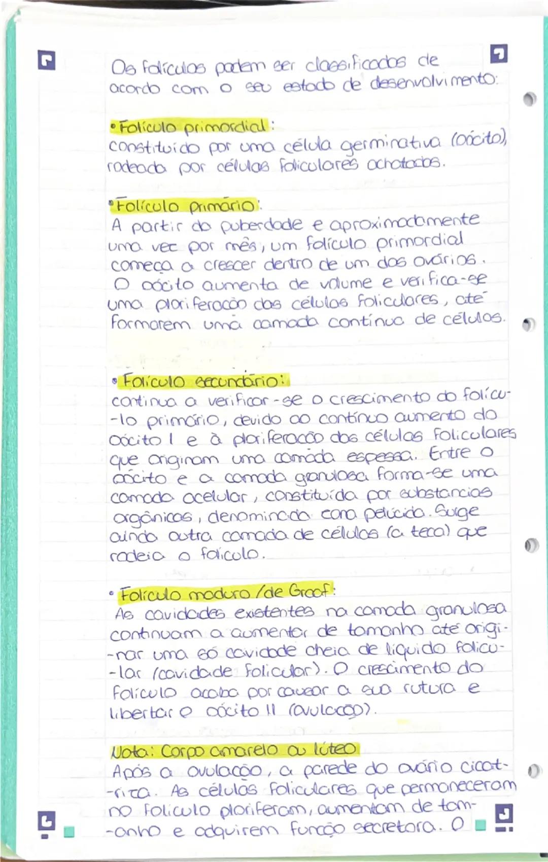 --- OCR Start ---
de relaxar;
edende se desde a abatura da vuha
até co colo do itero.
A parede interior segrega um fluído.
que adua como lub