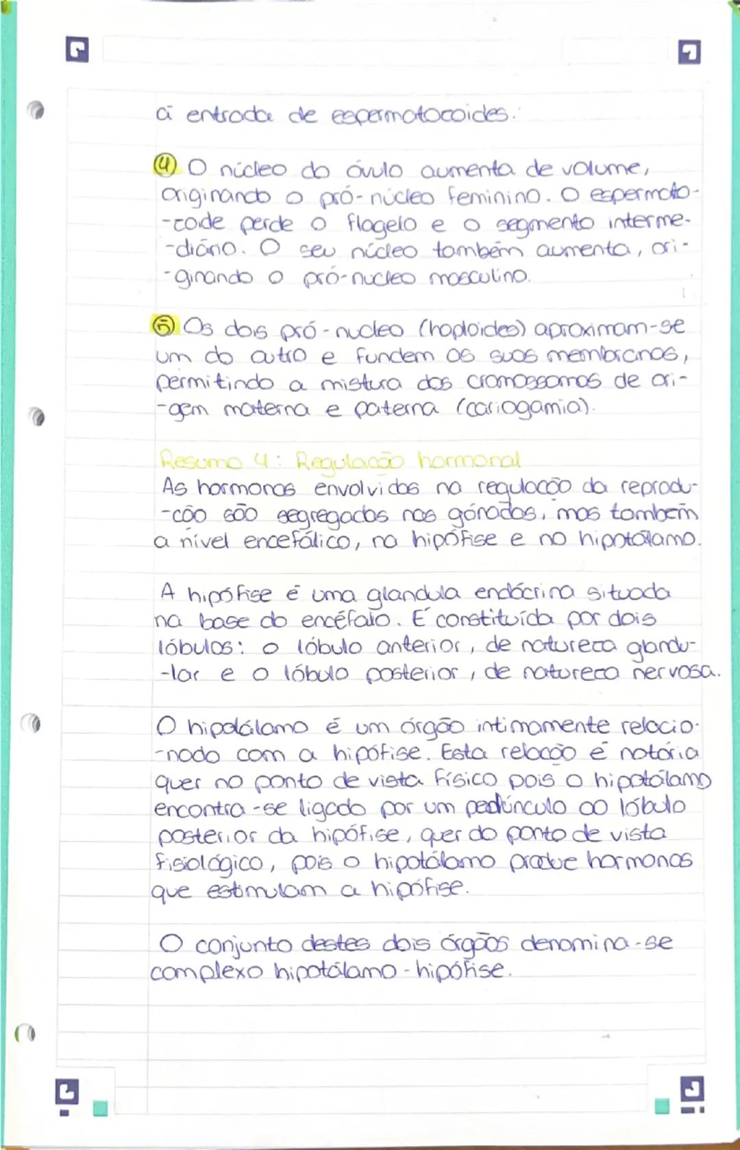 --- OCR Start ---
de relaxar;
edende se desde a abatura da vuha
até co colo do itero.
A parede interior segrega um fluído.
que adua como lub