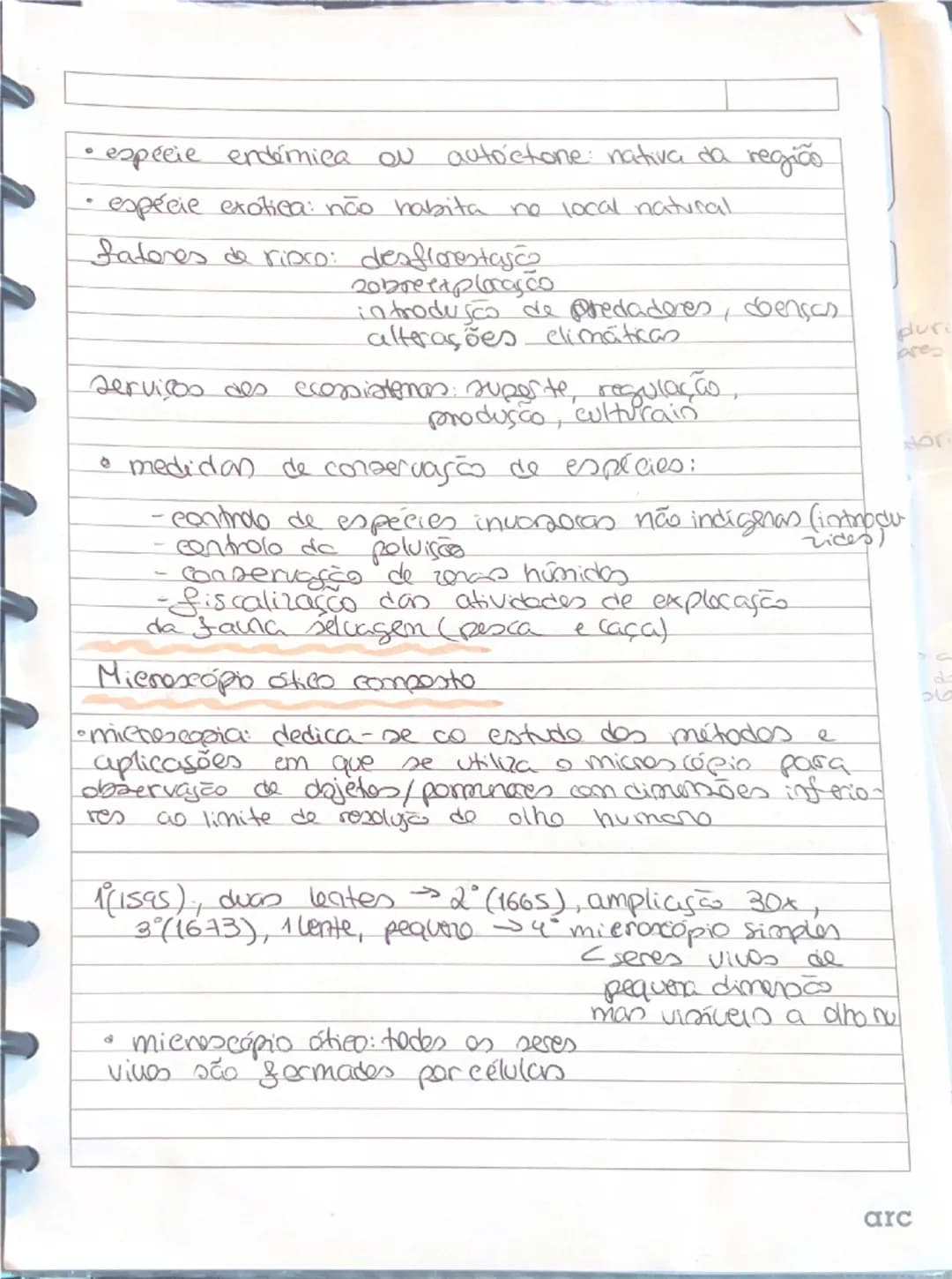 Resumos Biologia microscópio 