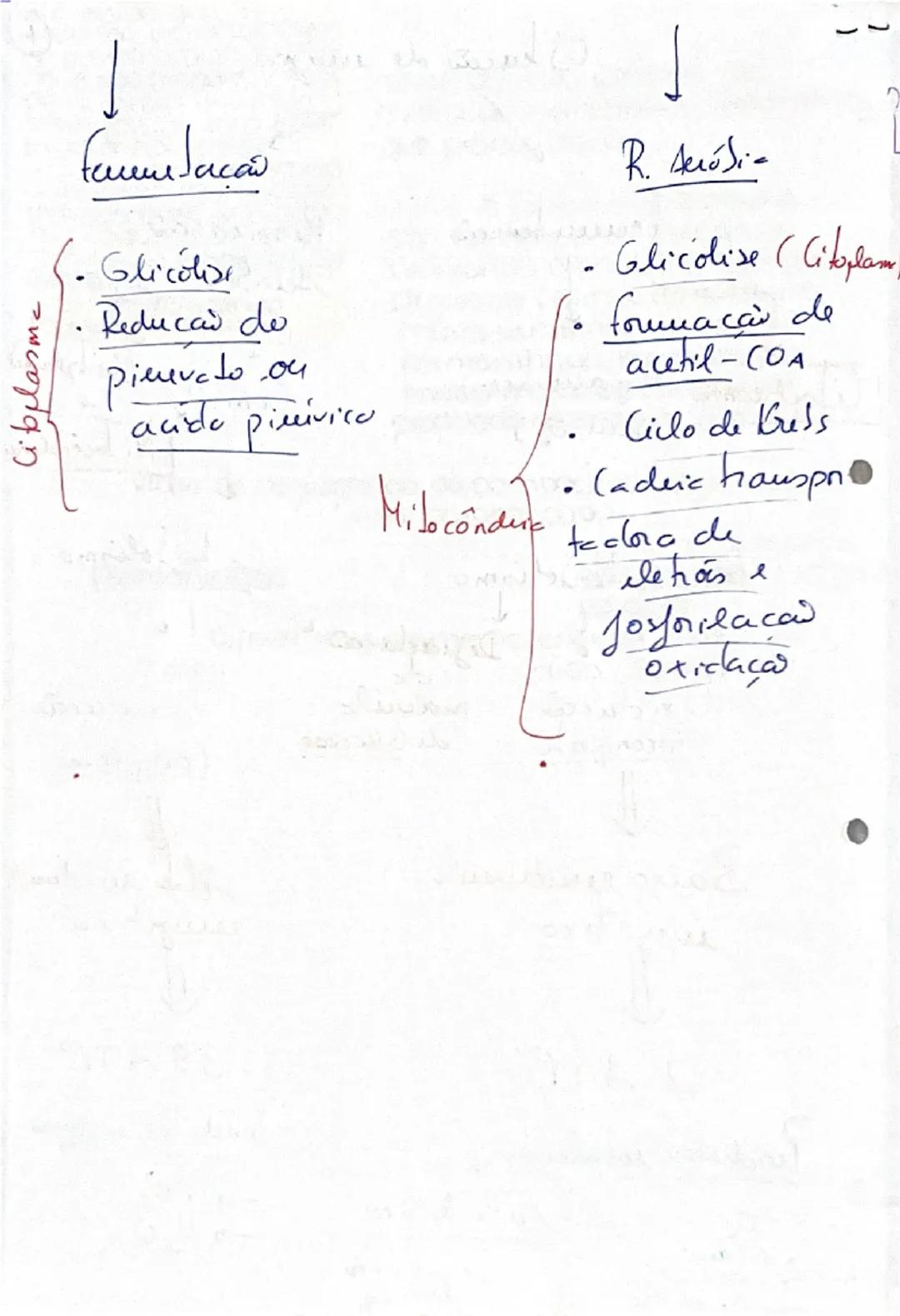 # Biologia 10º ano

Respiração aeróbia

- As células dos tecidos, quando realizam respiração aeróbia vão consumir O2 e libertar dióxido de c