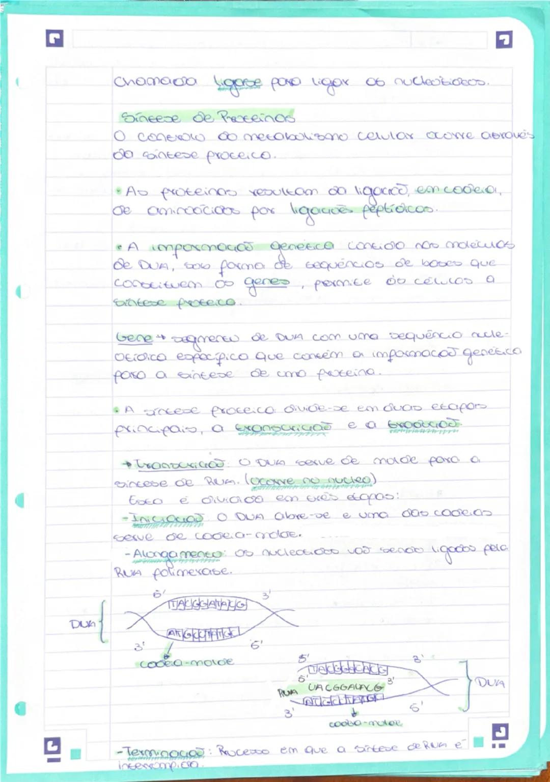 # Biologa

DUA e conoscituido por:
*   Cona fencose Desorribose.
*   boses nitrogenooos: Citosino (0) / Guanina (G)/
    Adenina (A) e Timin