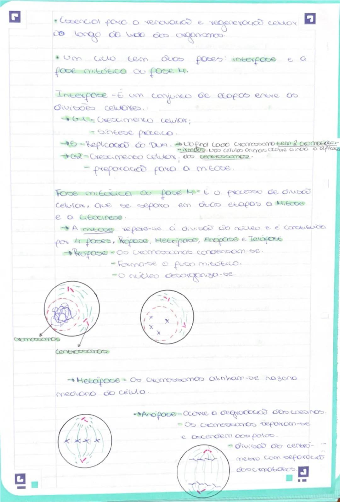 # Biologa

DUA e conoscituido por:
*   Cona fencose Desorribose.
*   boses nitrogenooos: Citosino (0) / Guanina (G)/
    Adenina (A) e Timin