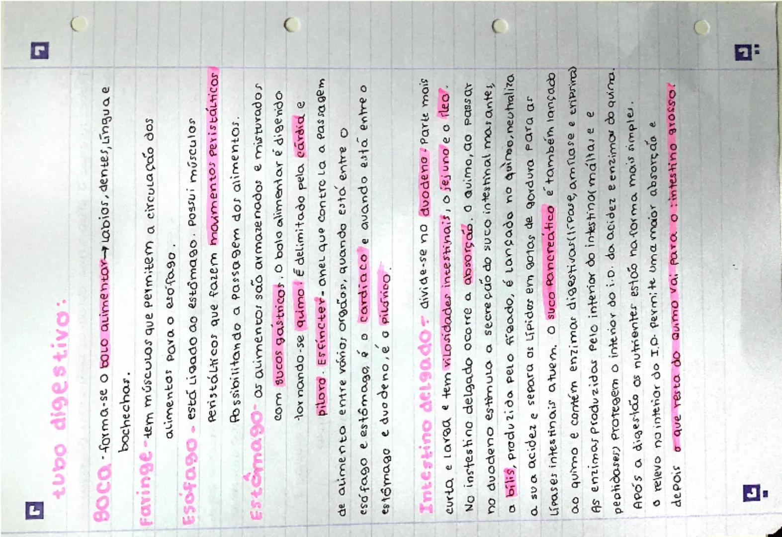 # Nutrição
Processo onde o organismo obtém os nutrientes necessários
ao metabolismo celular.

- Ingestão-introdução dos alimentos no organis