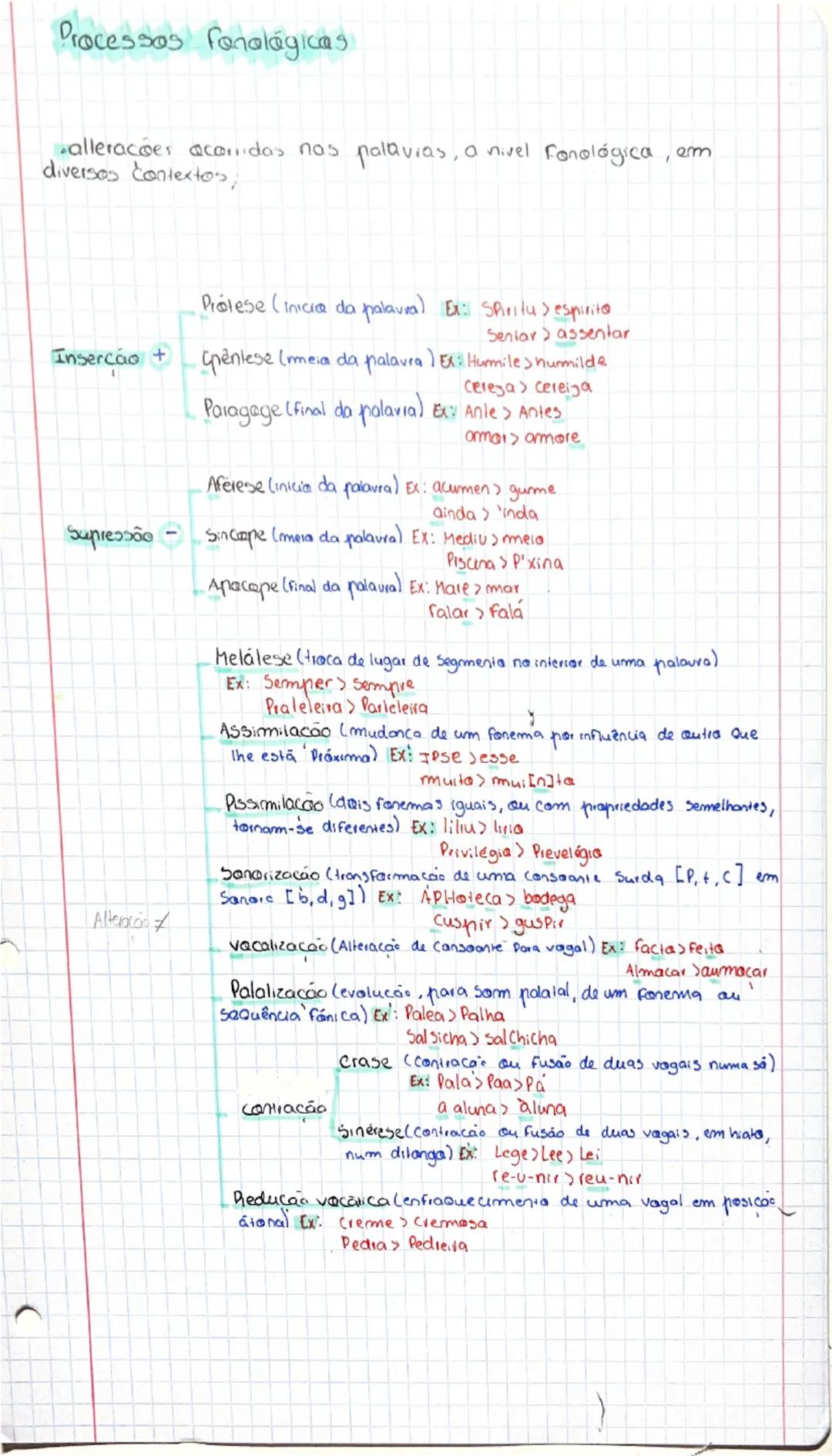 Processos Fonológicos no Português - Guia Completo