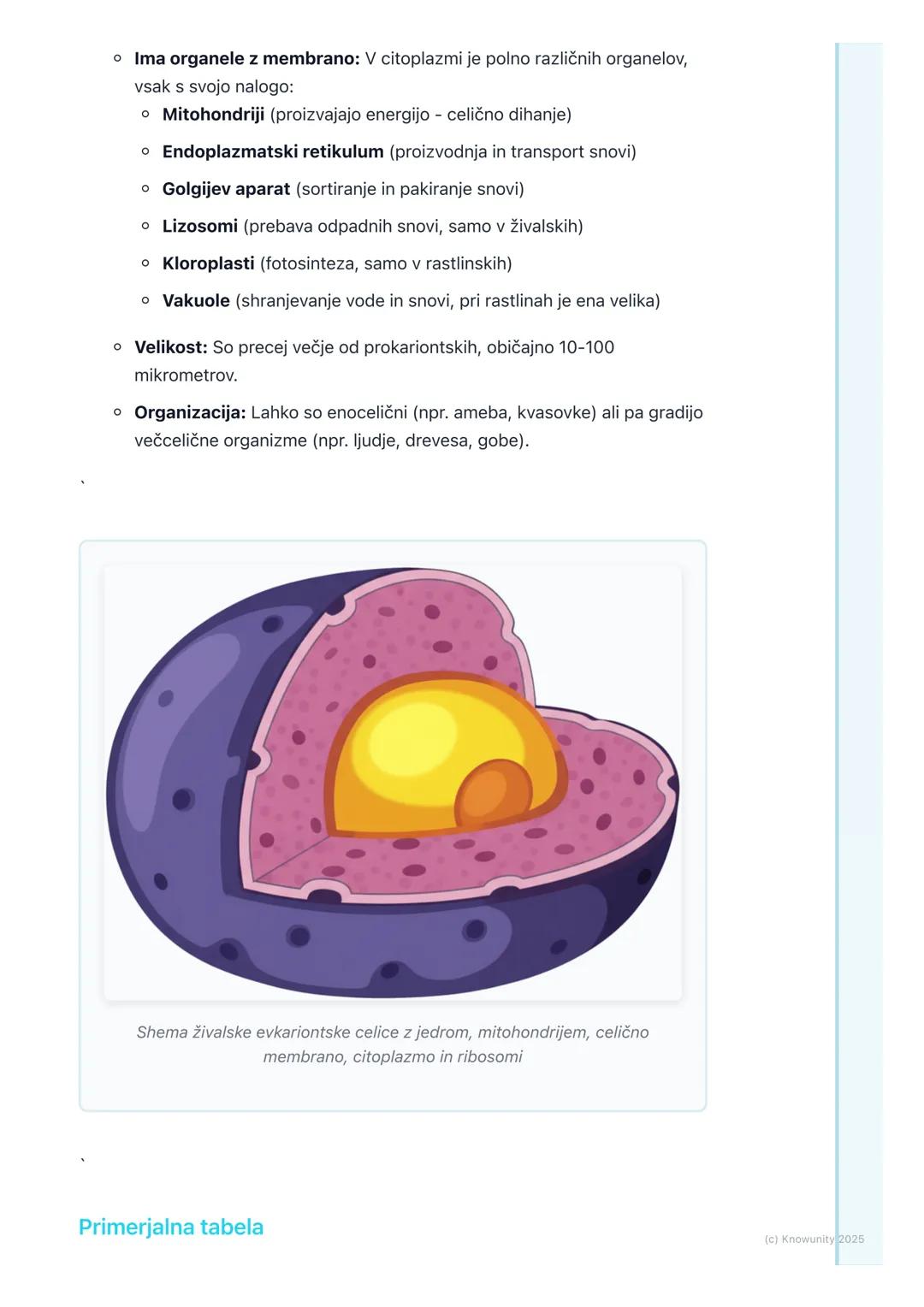 # Prokariontske in evkariontske
celice

Splošen pregled

Vse živo je zgrajeno iz celic. Celica je osnovna enota življenja. Ampak niso vse
ce