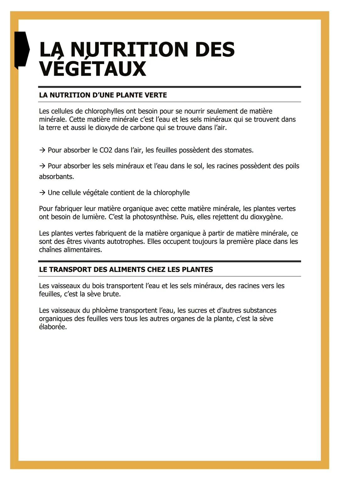 # LĄ NUTRITION DES
VEGETAUX

LA NUTRITION D'UNE PLANTE VERTE

Les cellules de chlorophylles ont besoin pour se nourrir seulement de matière
