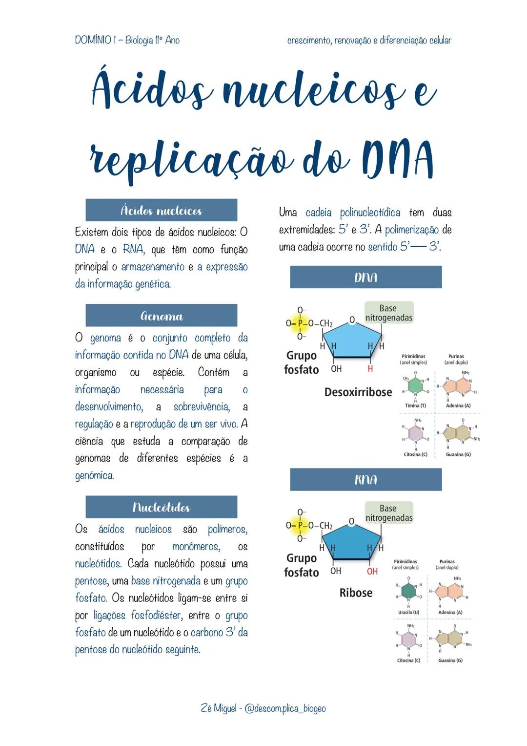 Replicação do DNA e Ácidos Nucleicos - Resumo de Biologia