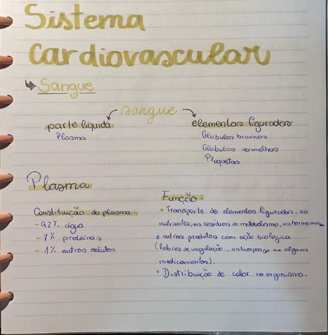 # Sistema

# Cardiovascular

Sangue

parte liquidar sangue
Plasma
elementon figurodon
Globulas brancos
Globuloo vermelhoo.
Plaquetan

Plasma
