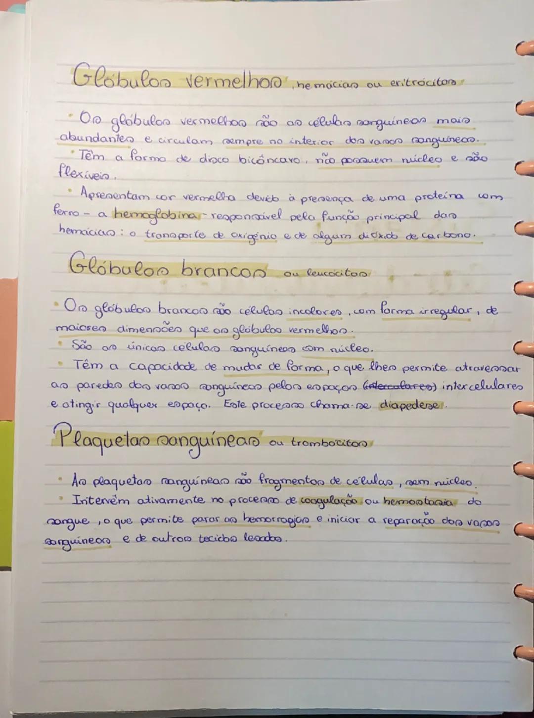 # Sistema

# Cardiovascular

Sangue

parte liquidar sangue
Plasma
elementon figurodon
Globulas brancos
Globuloo vermelhoo.
Plaquetan

Plasma