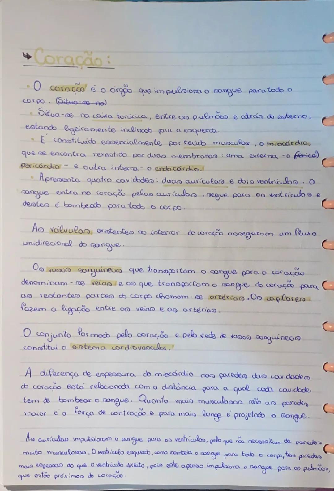 # Sistema

# Cardiovascular

Sangue

parte liquidar sangue
Plasma
elementon figurodon
Globulas brancos
Globuloo vermelhoo.
Plaquetan

Plasma