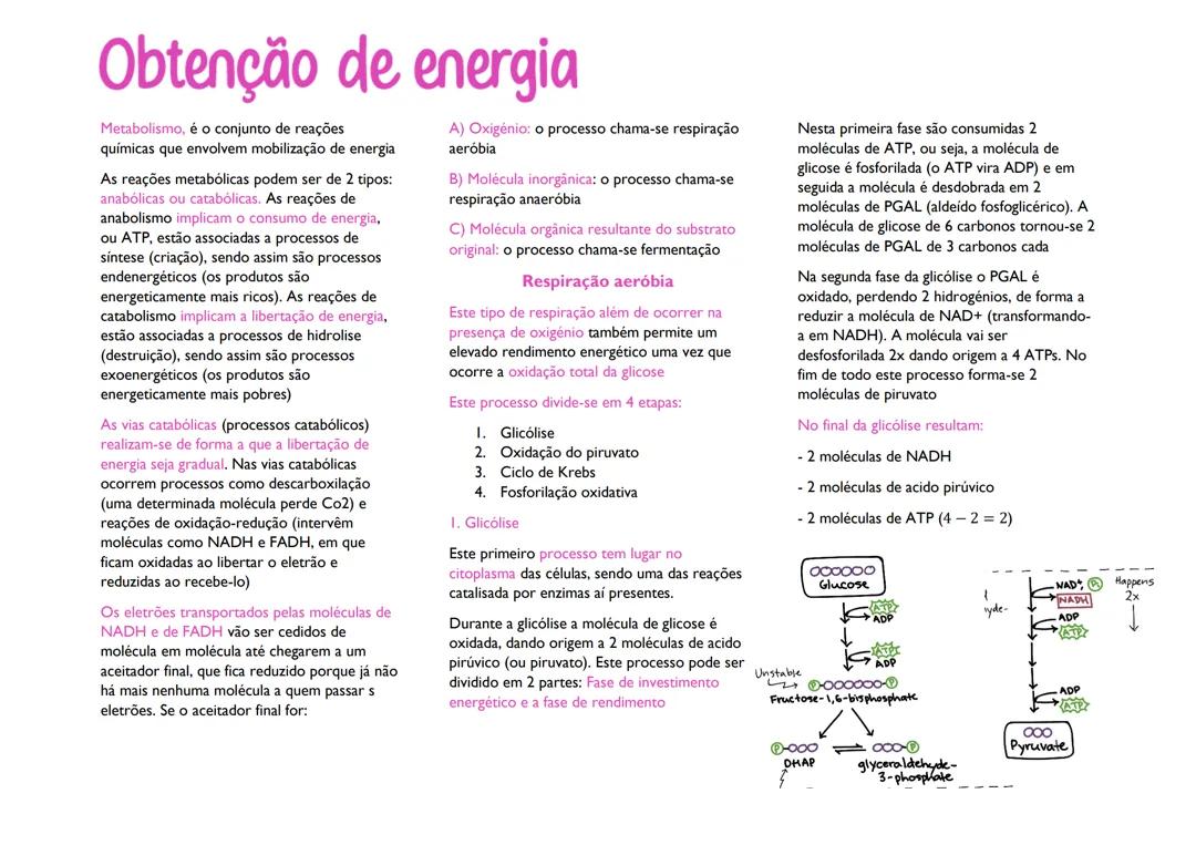 obtençao de energia