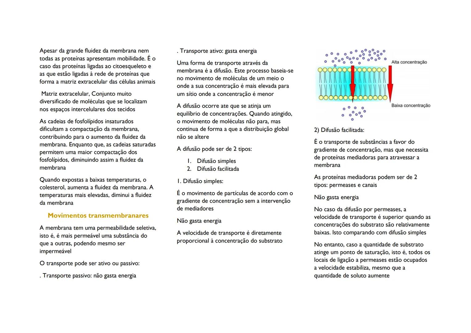 # MEMBRANA CELULAR

Composição e estrutura da
membrana

A membrana celular tem como função
controlar o transporte de substâncias para o
meio