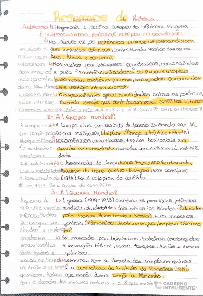 # RESUMOS de história.

Subtema II: Hegemonia e declino europeu da influência europeia.

1-expansionismo colonial europeu no século XIX:

No
