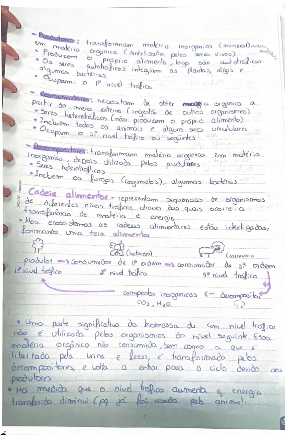 Estudo resumido