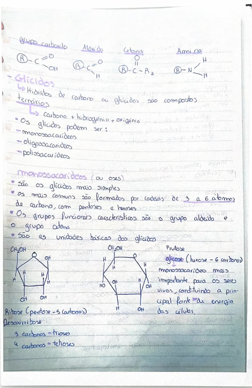 # Produtores
- transformam matéria inorgânica (mineral) em matéria orgânica (sintetizada pelos seres vivos)
- Produzem o próprio alimento → 