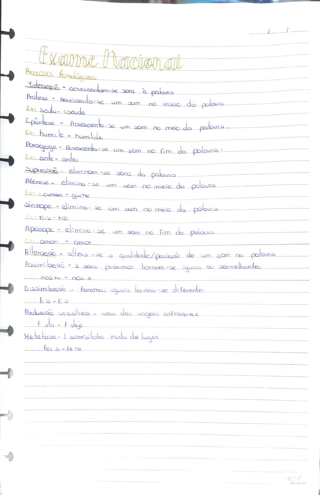 Processos fonológicos