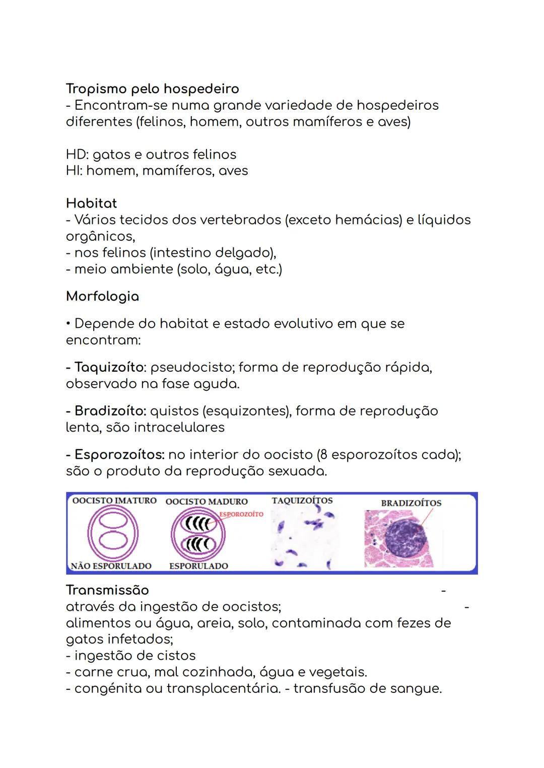 --- OCR Start ---
Micropyle
Sporocyst
Sporozoite
Oocyst
residual body
Sporocyst
residual body
Oocyst wall
Oocisto não esporulado
Oocisto esp