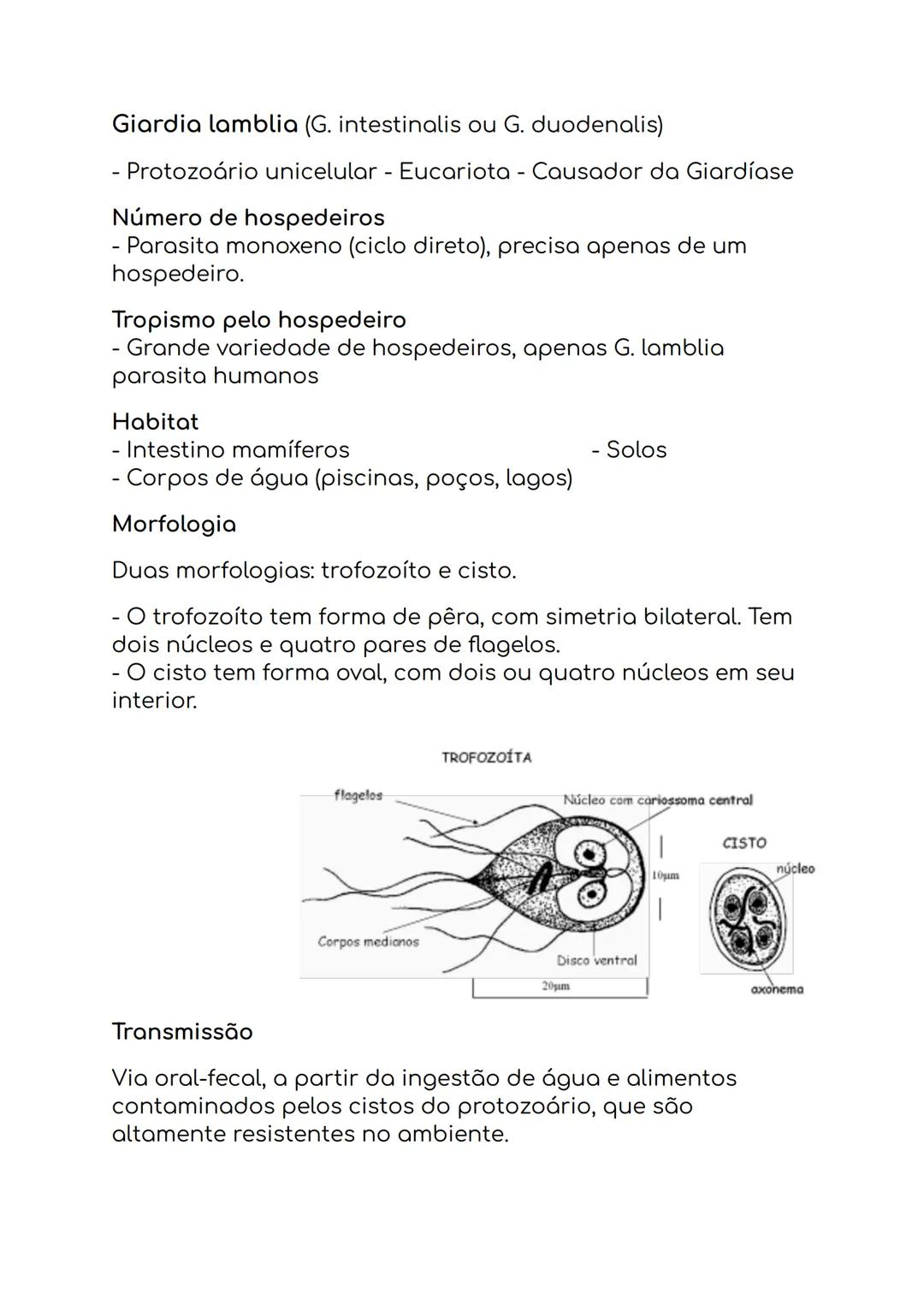 --- OCR Start ---
Micropyle
Sporocyst
Sporozoite
Oocyst
residual body
Sporocyst
residual body
Oocyst wall
Oocisto não esporulado
Oocisto esp