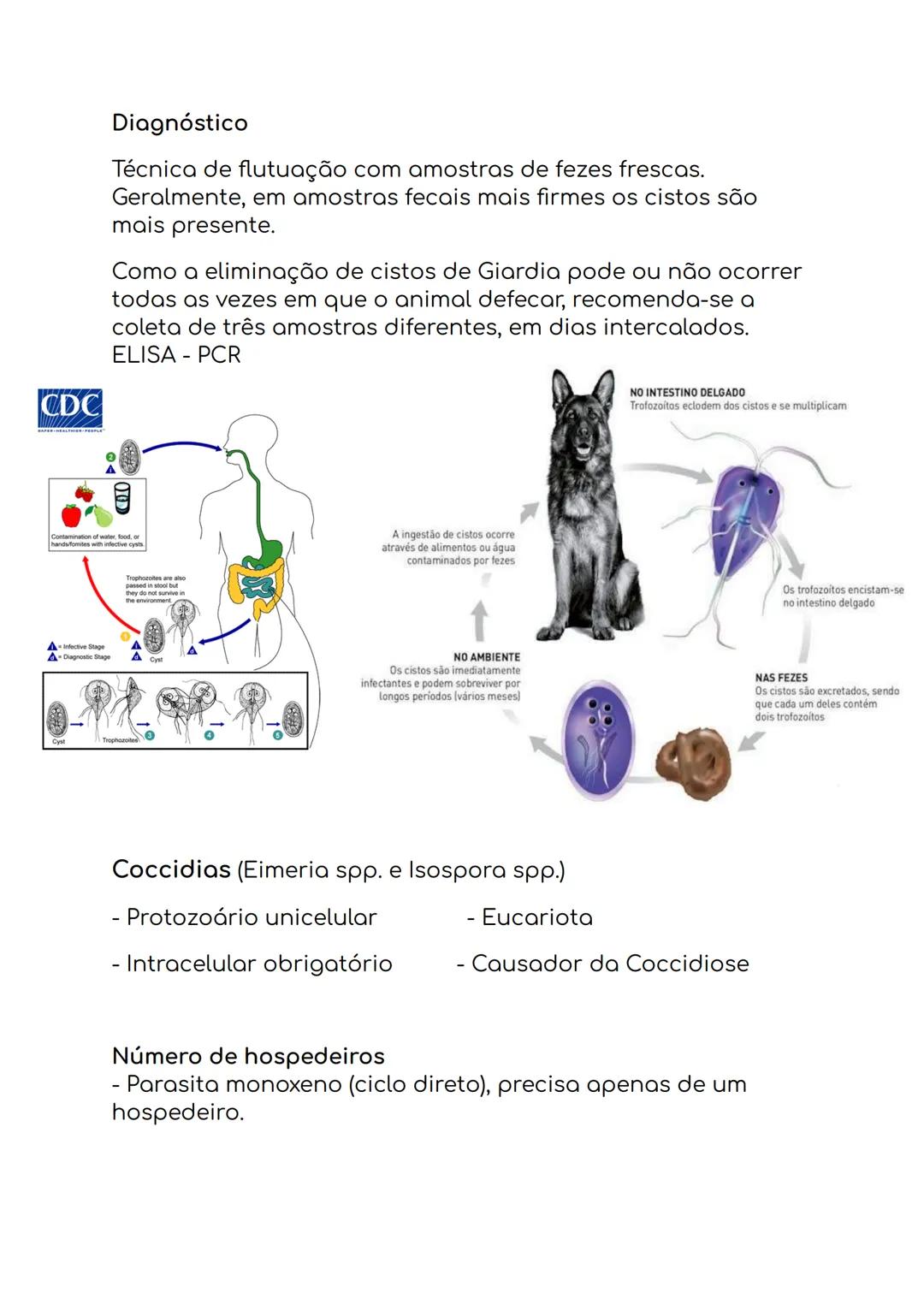 --- OCR Start ---
Micropyle
Sporocyst
Sporozoite
Oocyst
residual body
Sporocyst
residual body
Oocyst wall
Oocisto não esporulado
Oocisto esp