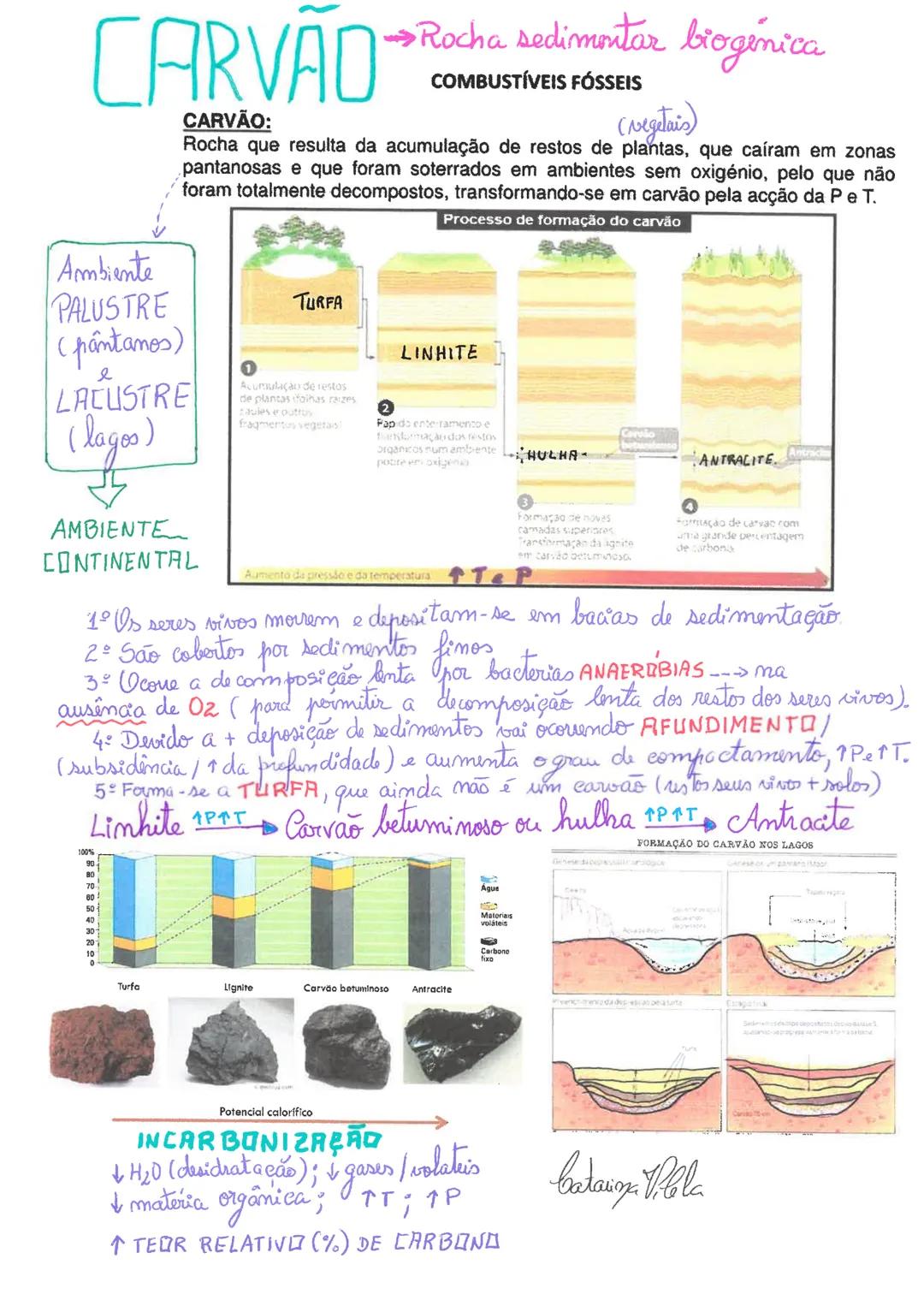 ## Geologia
11º ano ## Geologia 11º ano
As rochas são constituídas por minerais.
Mineral : inorgânico (ex: a pérola é sintetizada pelas