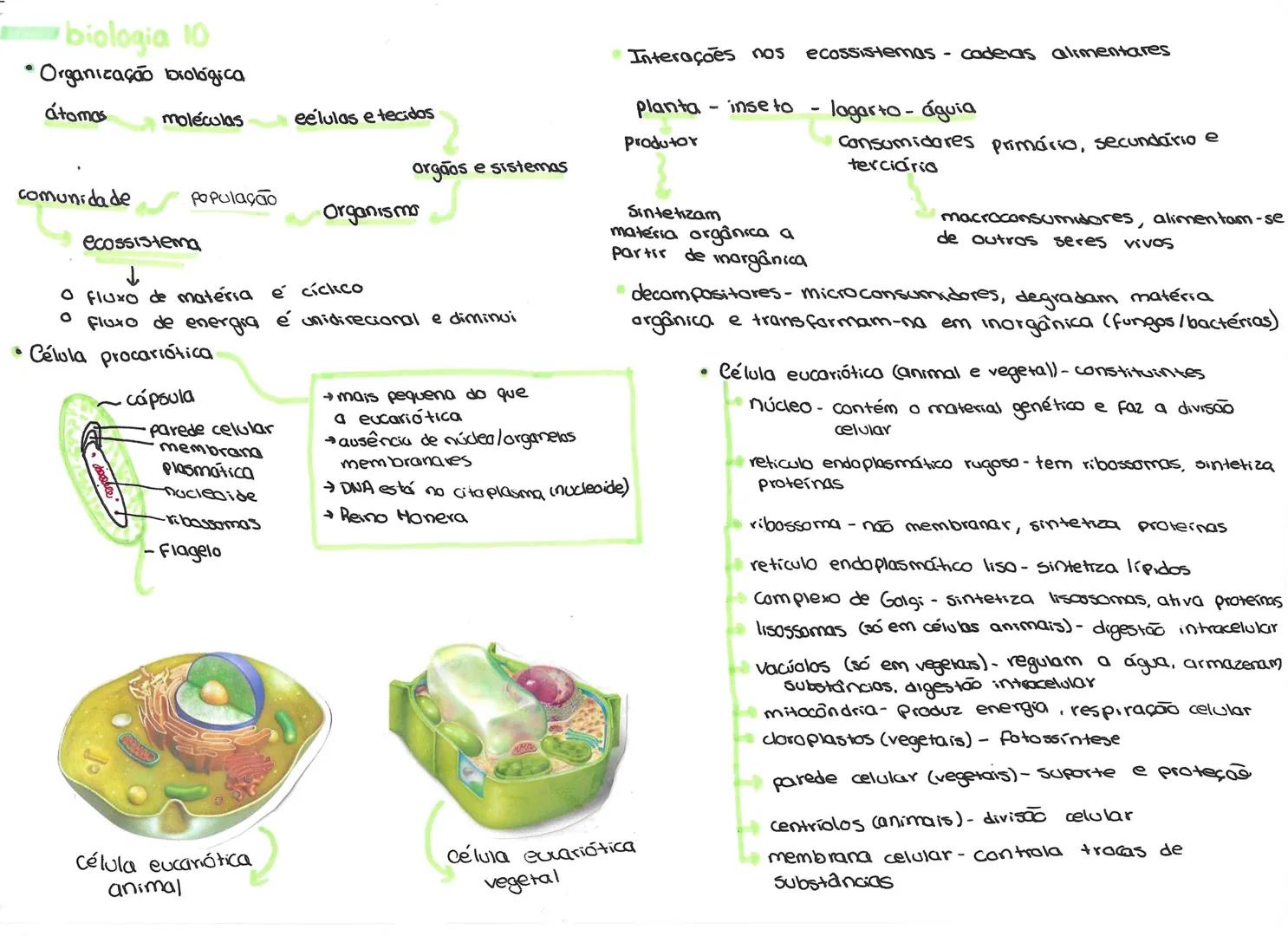 # biologia 10
• Organização biológica
átomos moléculas eélulas e tecidos
orgãos e sistemas
comunidade população Organismo
ecossistema
↓
O fl