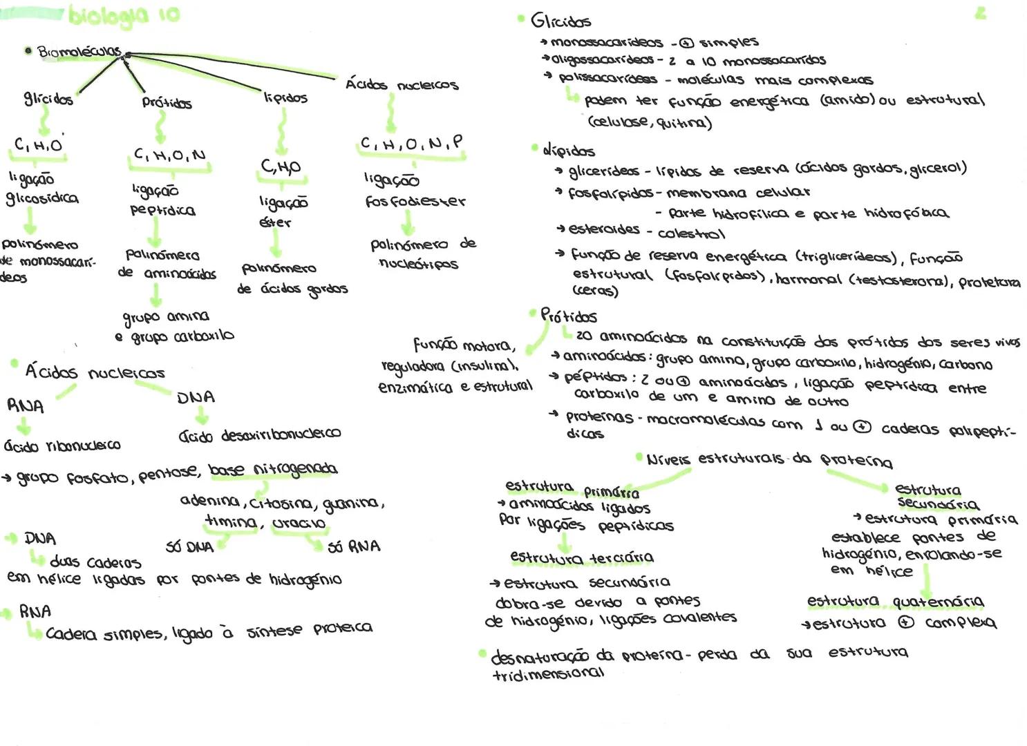 # biologia 10
• Organização biológica
átomos moléculas eélulas e tecidos
orgãos e sistemas
comunidade população Organismo
ecossistema
↓
O fl