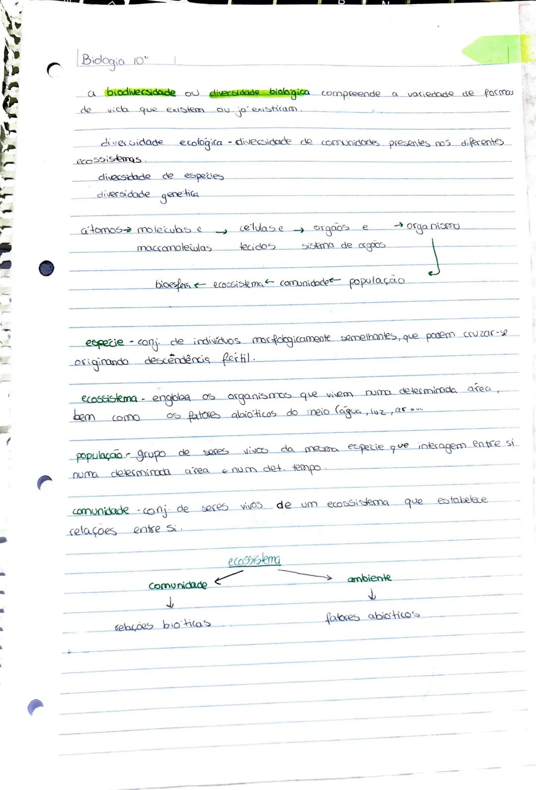 Resumos Biologia 10°