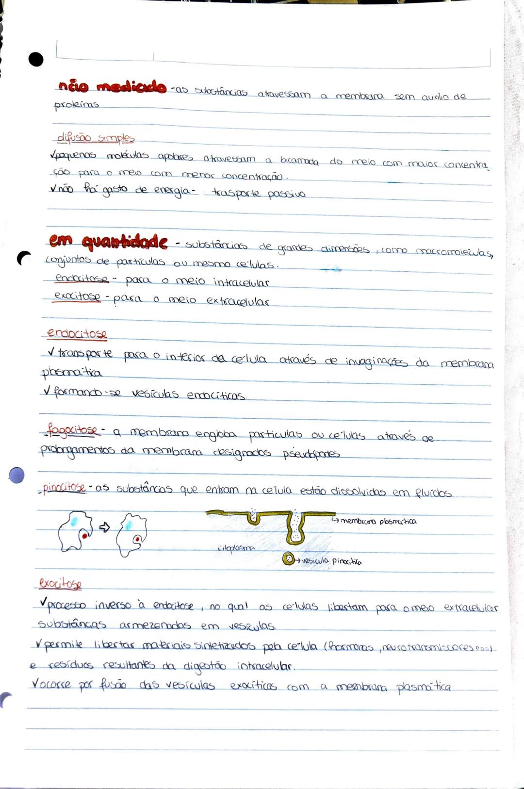 Bidogia 10
a biodiversidade ou diversidade biologica compreende a variedade de formas
de
vica que existem ou jo existicam
diversidade ecológ