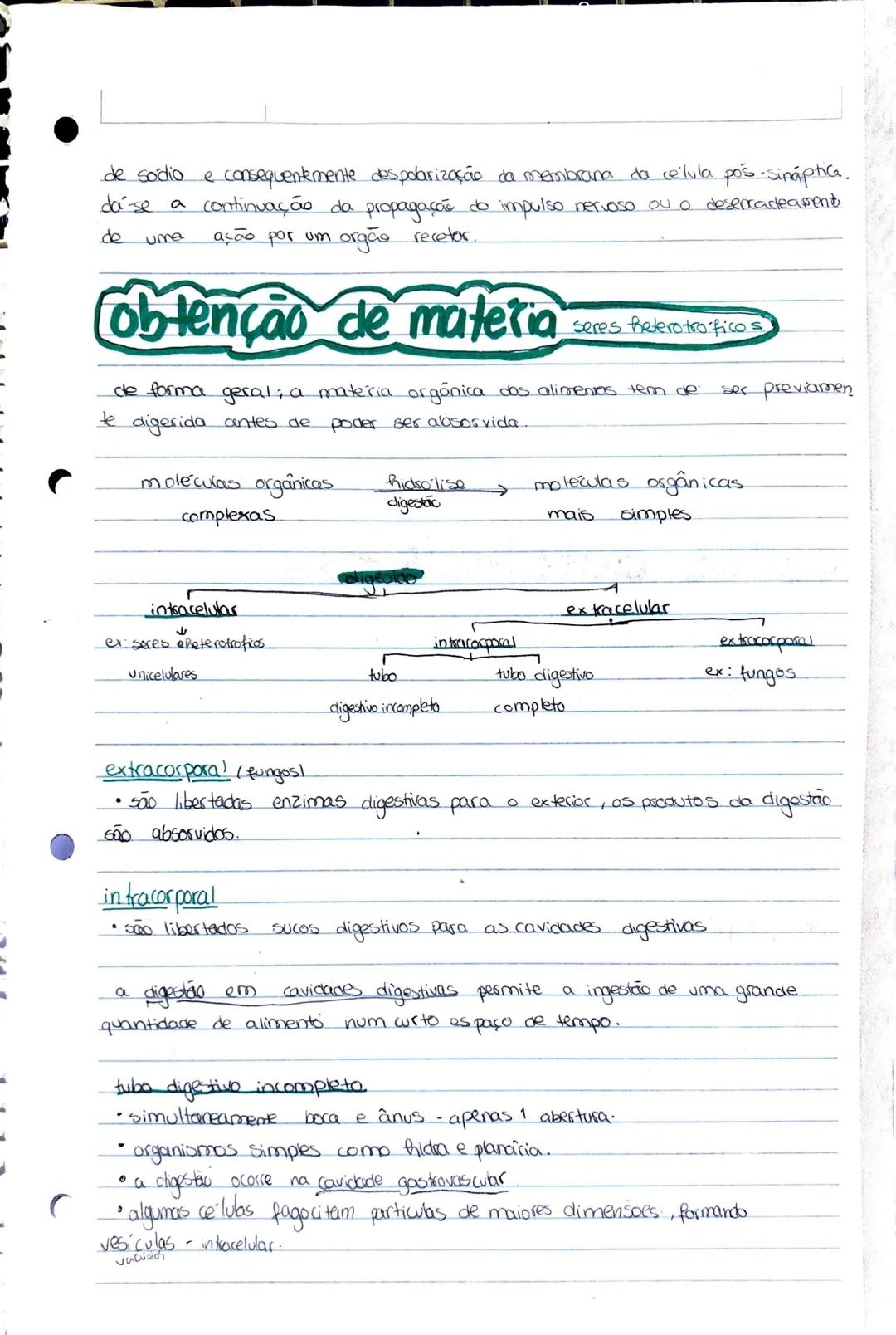 Bidogia 10
a biodiversidade ou diversidade biologica compreende a variedade de formas
de
vica que existem ou jo existicam
diversidade ecológ