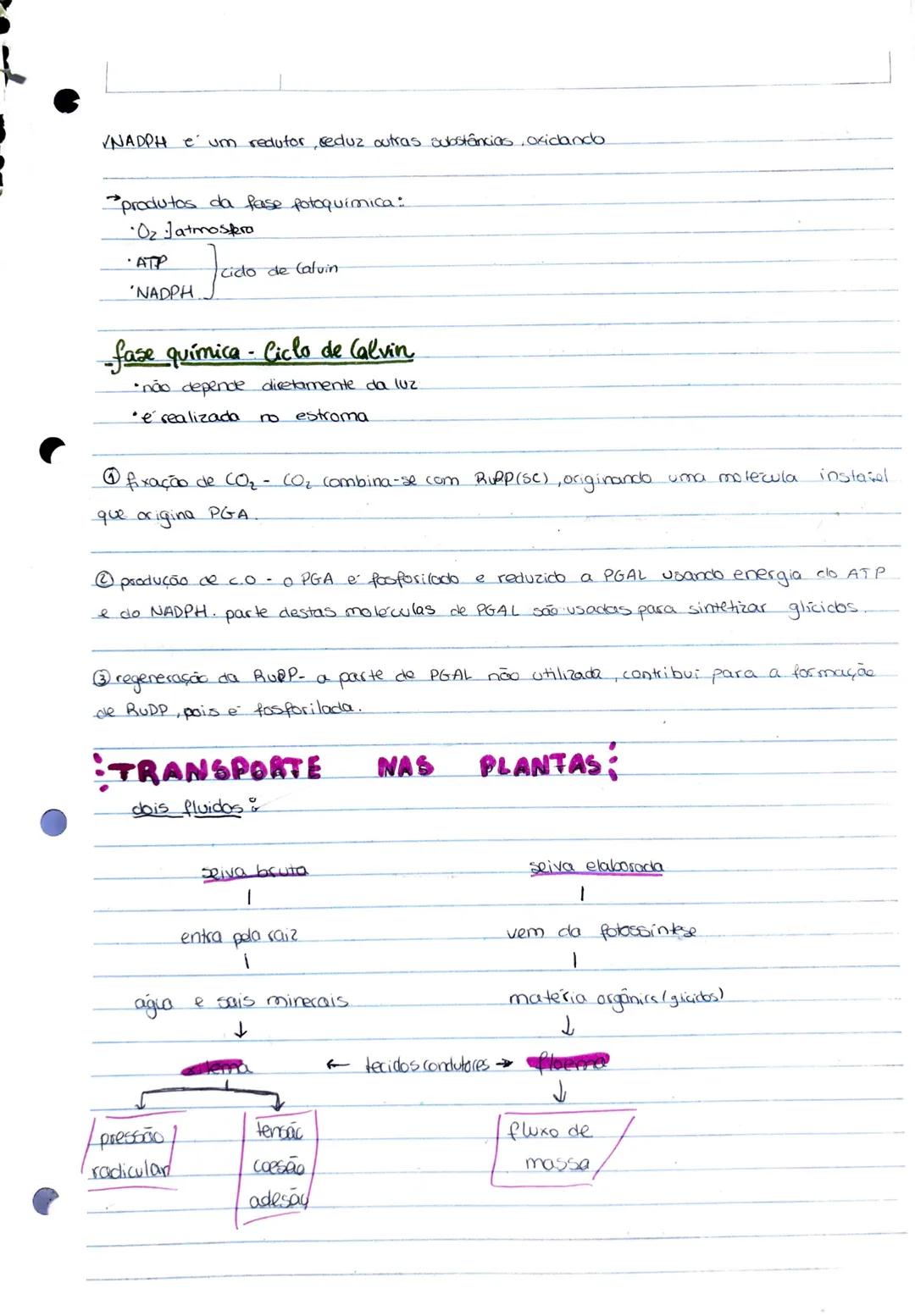 Bidogia 10
a biodiversidade ou diversidade biologica compreende a variedade de formas
de
vica que existem ou jo existicam
diversidade ecológ