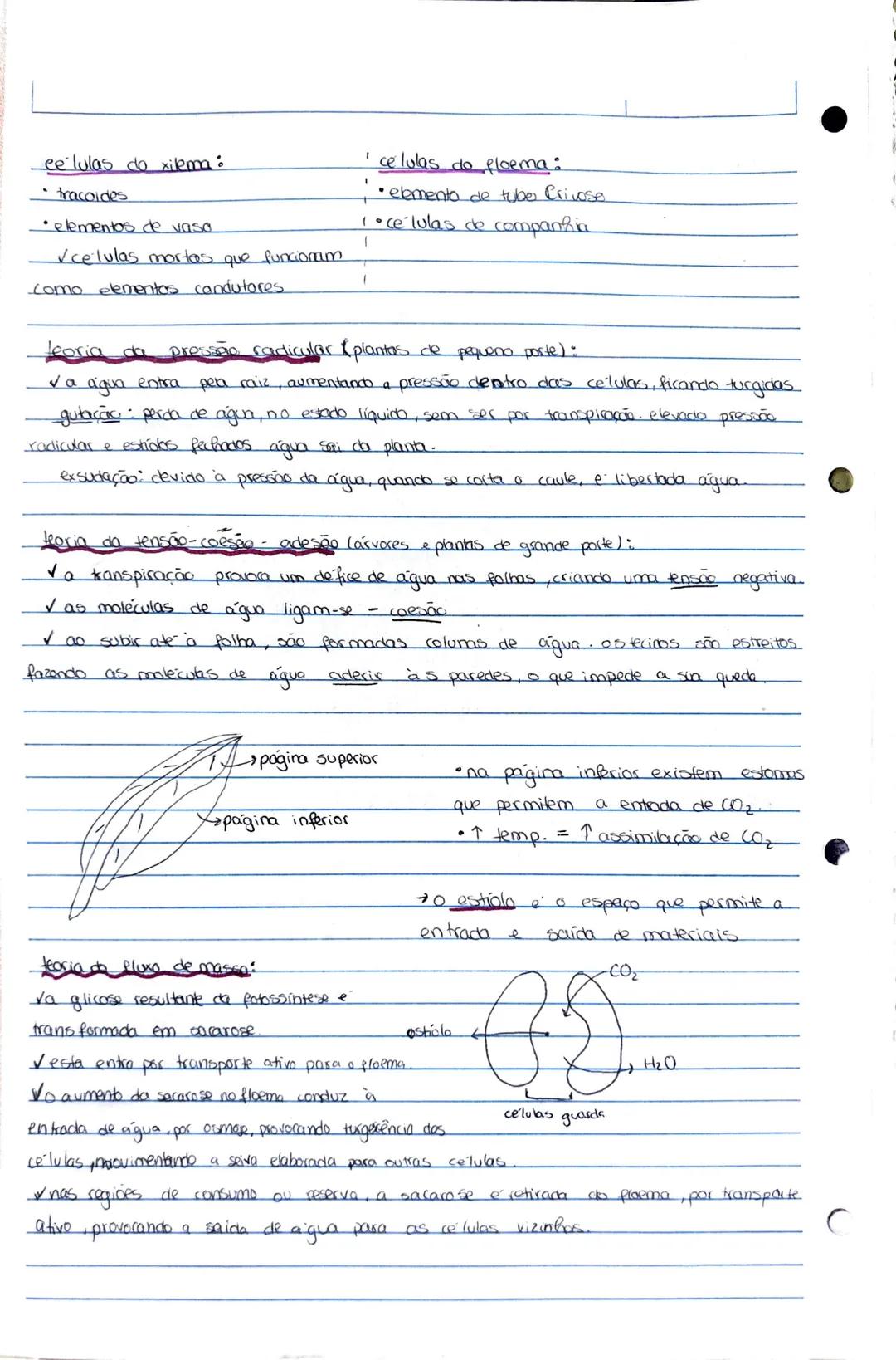 Bidogia 10
a biodiversidade ou diversidade biologica compreende a variedade de formas
de
vica que existem ou jo existicam
diversidade ecológ
