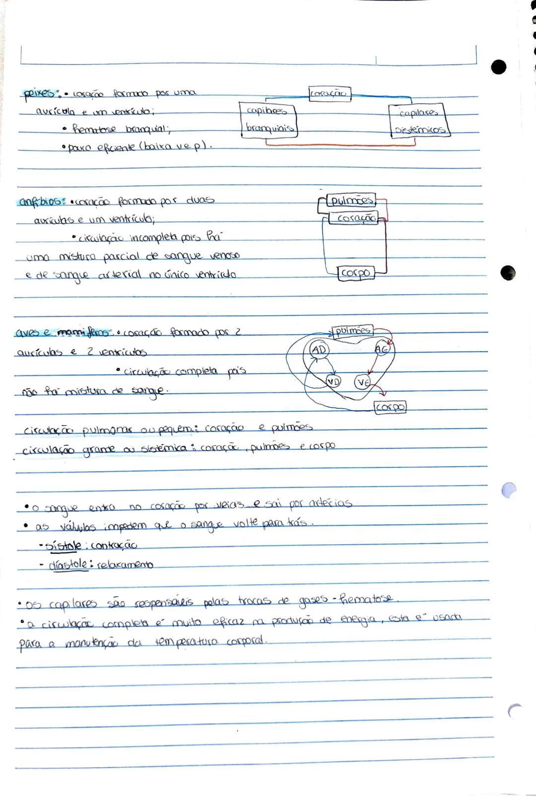 Bidogia 10
a biodiversidade ou diversidade biologica compreende a variedade de formas
de
vica que existem ou jo existicam
diversidade ecológ